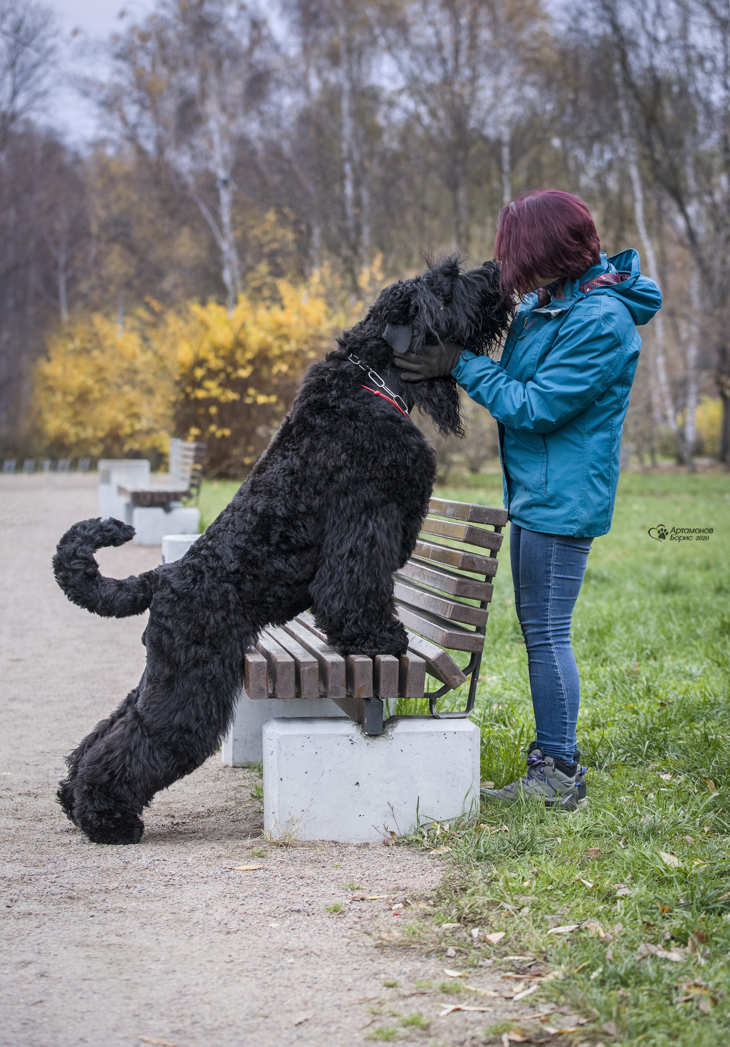 МАШЕНЬКА. Борис Артамонов фотограф — анималист. Москва