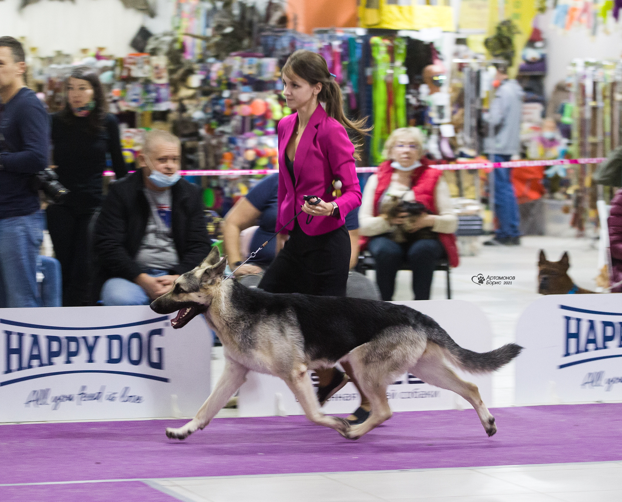 Борис Артамонов фотограф — анималист. Москва