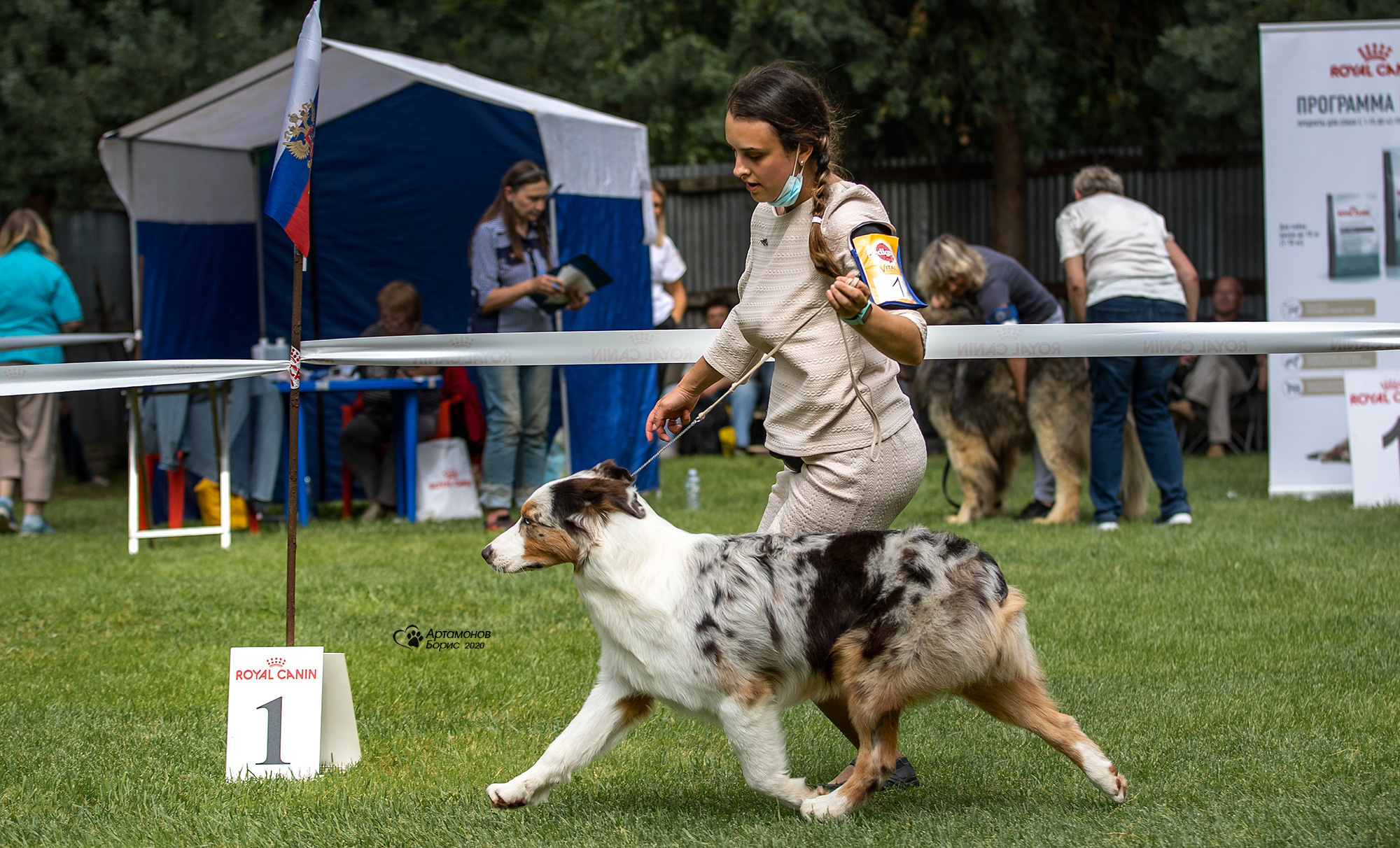 В ДВИЖЕНИИ. Борис Артамонов фотограф — анималист. Москва