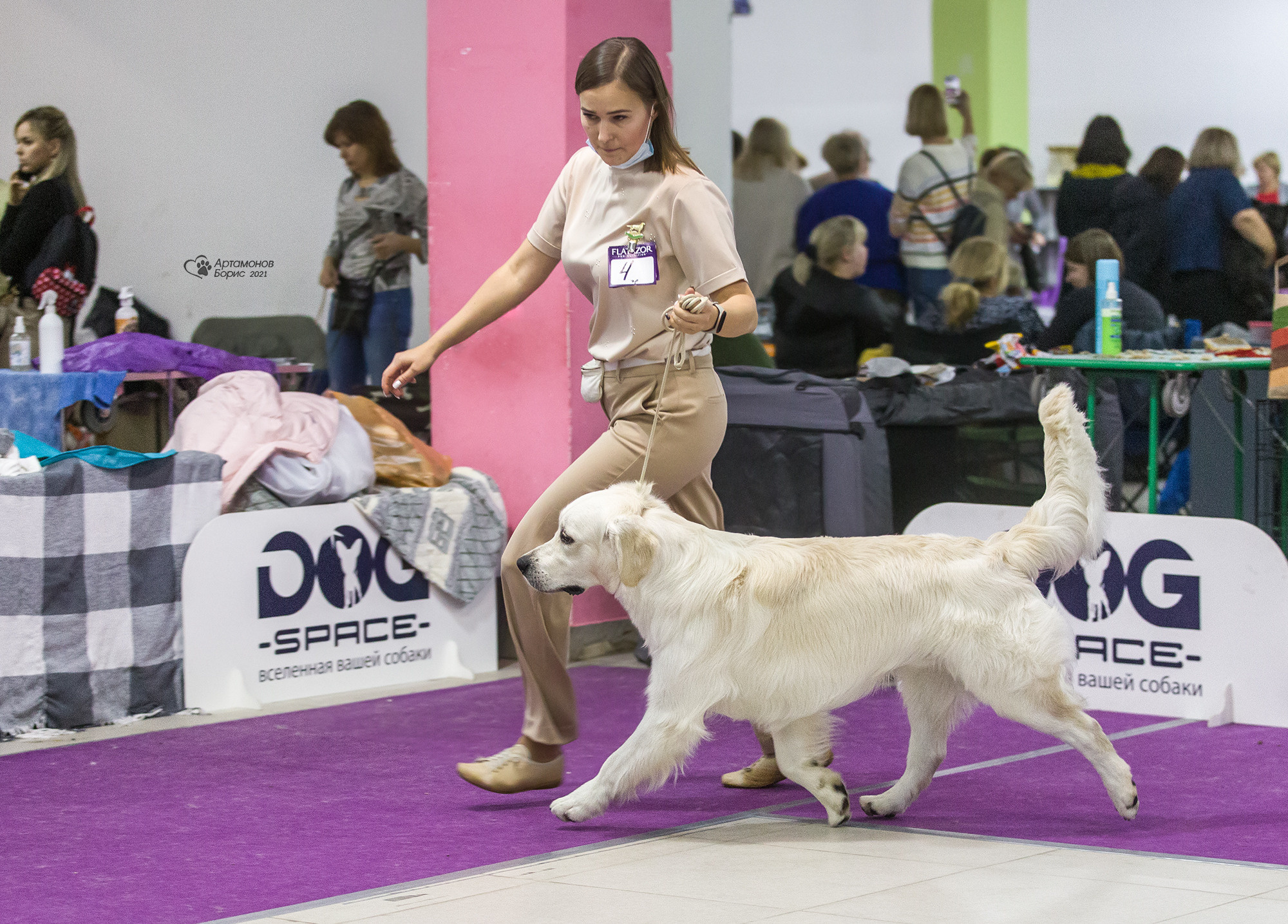 Борис Артамонов фотограф — анималист. Москва