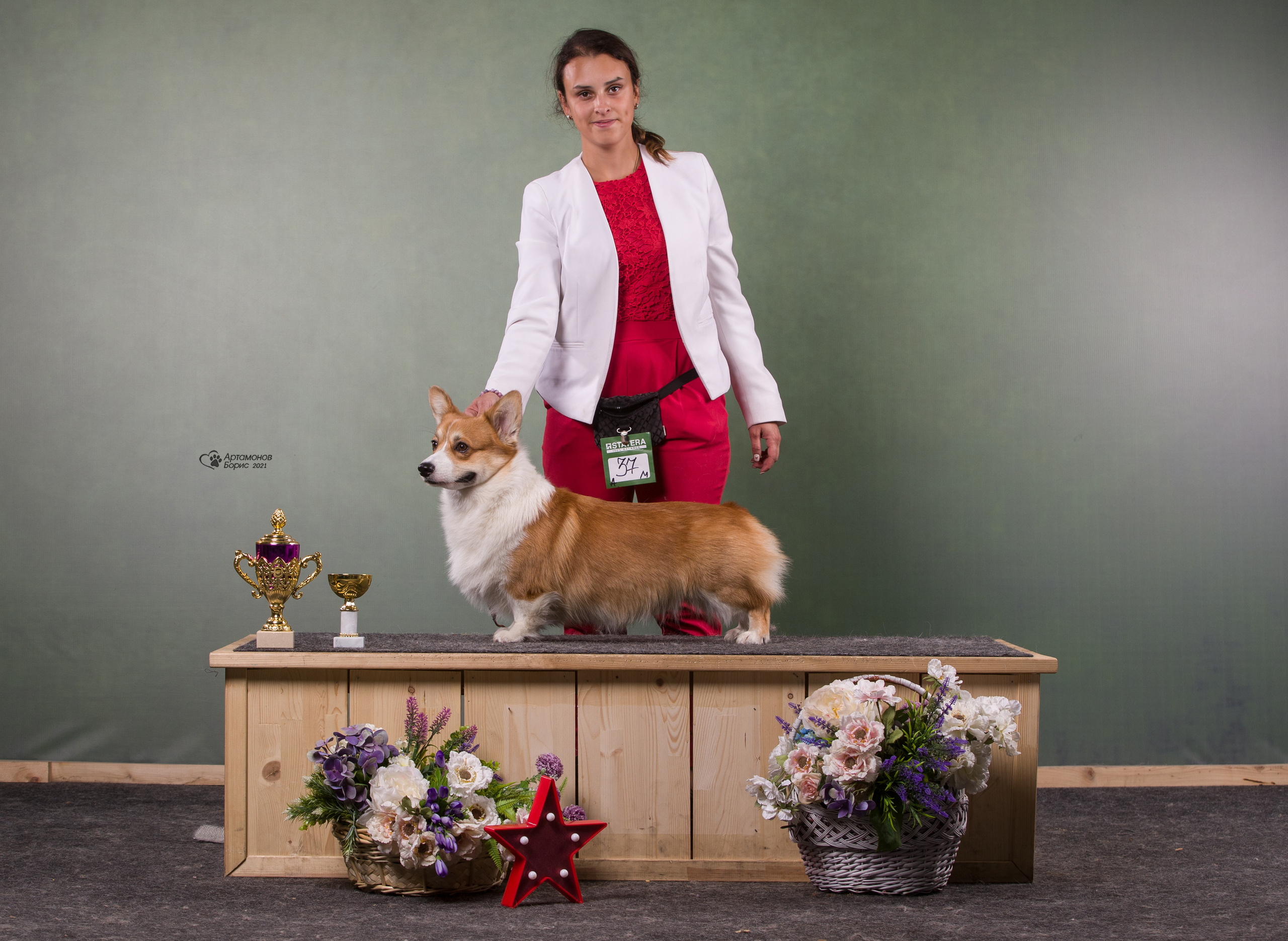 Борис Артамонов фотограф — анималист. Москва