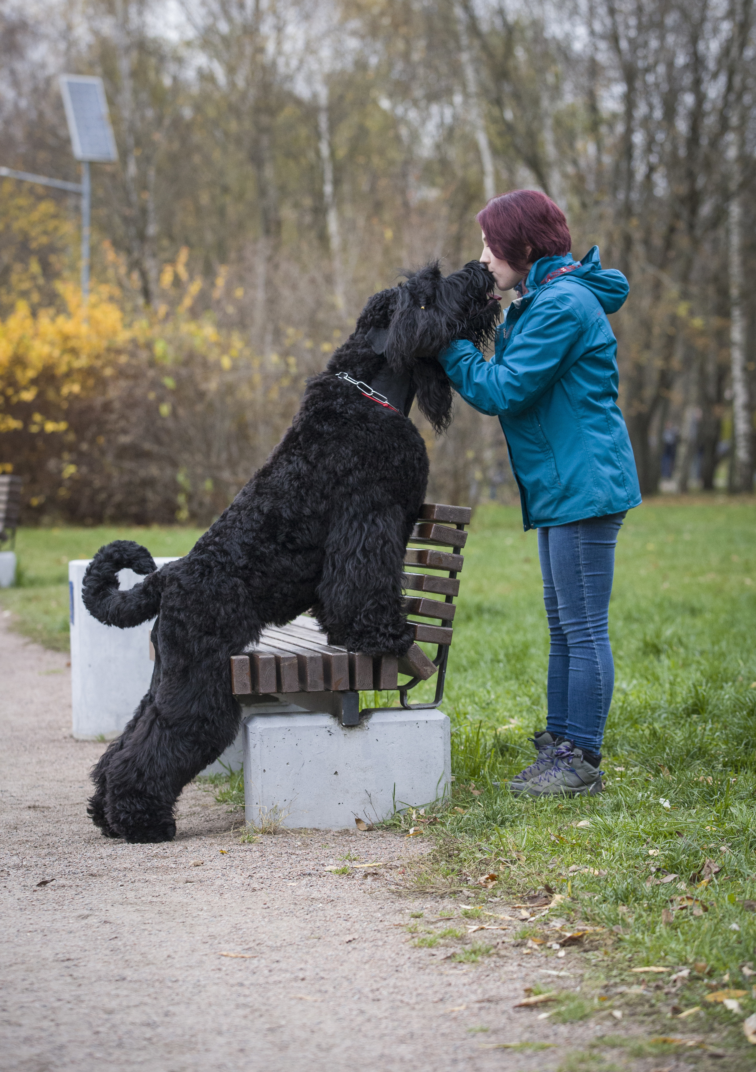 МАШЕНЬКА. Борис Артамонов фотограф — анималист. Москва