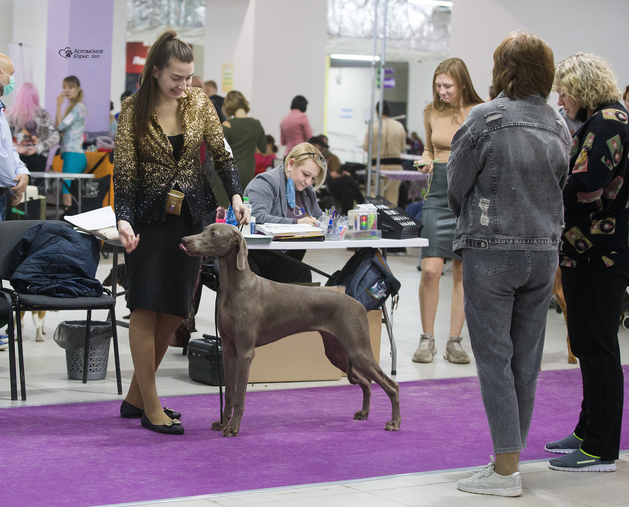 Борис Артамонов фотограф — анималист. Москва