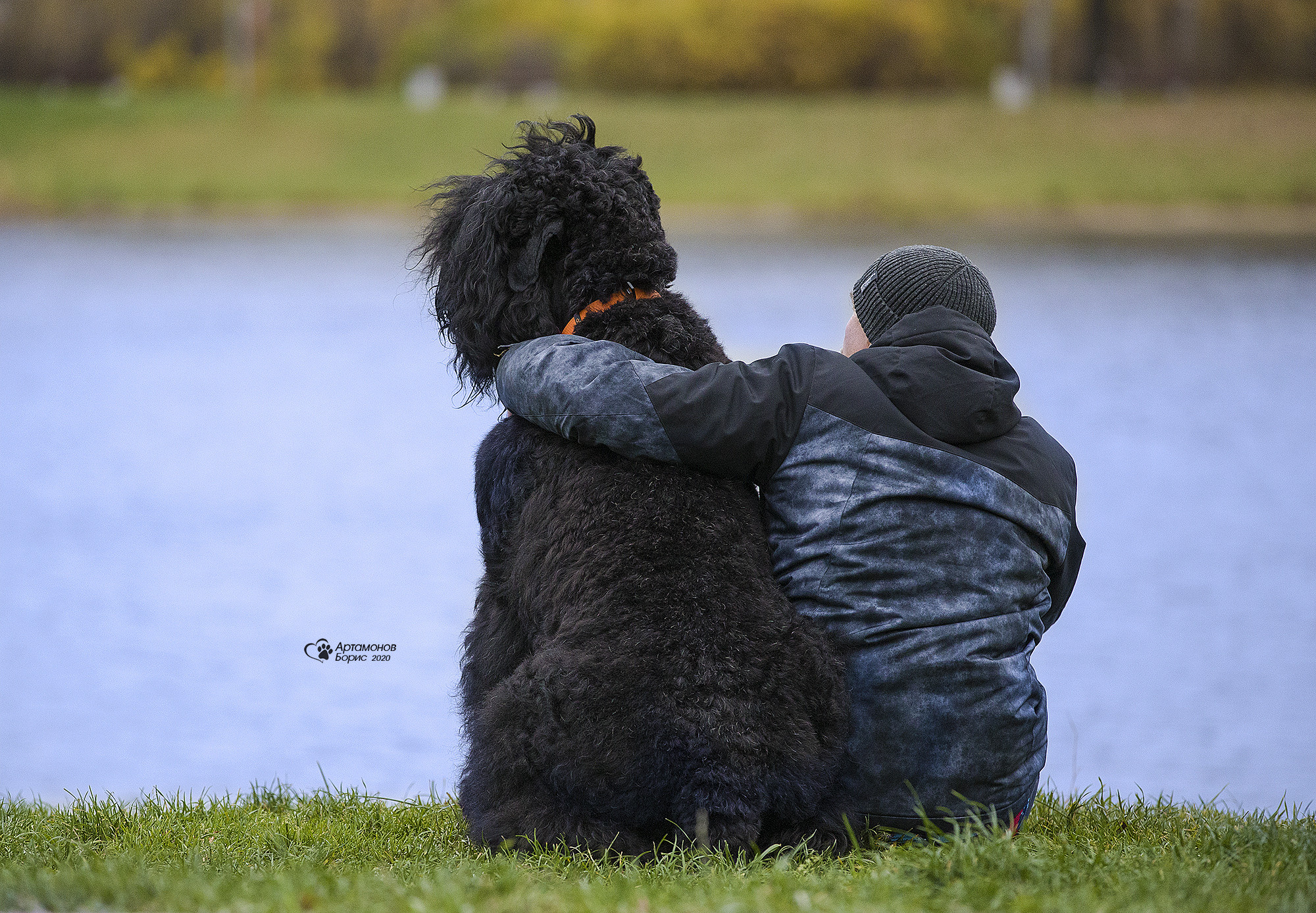 РУССКИЙ ЧЕРНЫЙ ТЕРЬЕР. Борис Артамонов фотограф — анималист. Москва