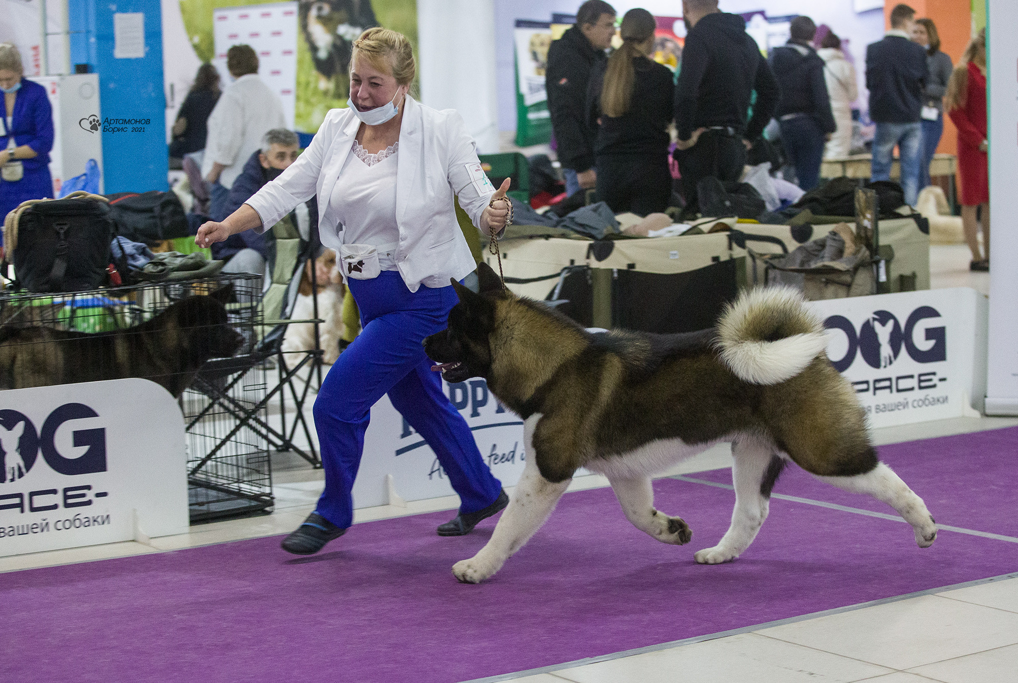 Борис Артамонов фотограф — анималист. Москва