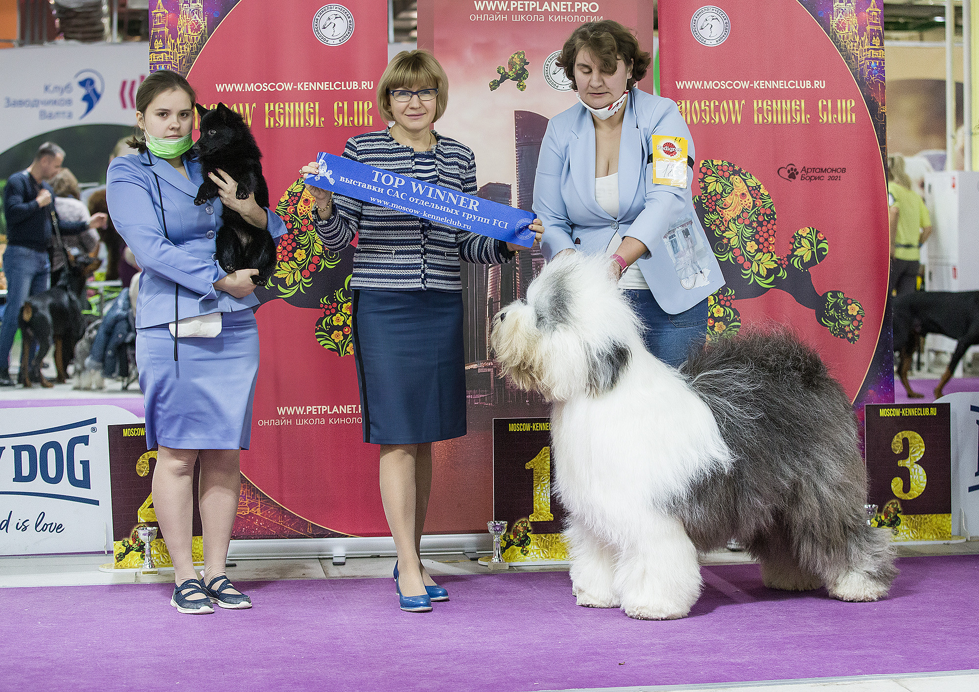 Борис Артамонов фотограф — анималист. Москва