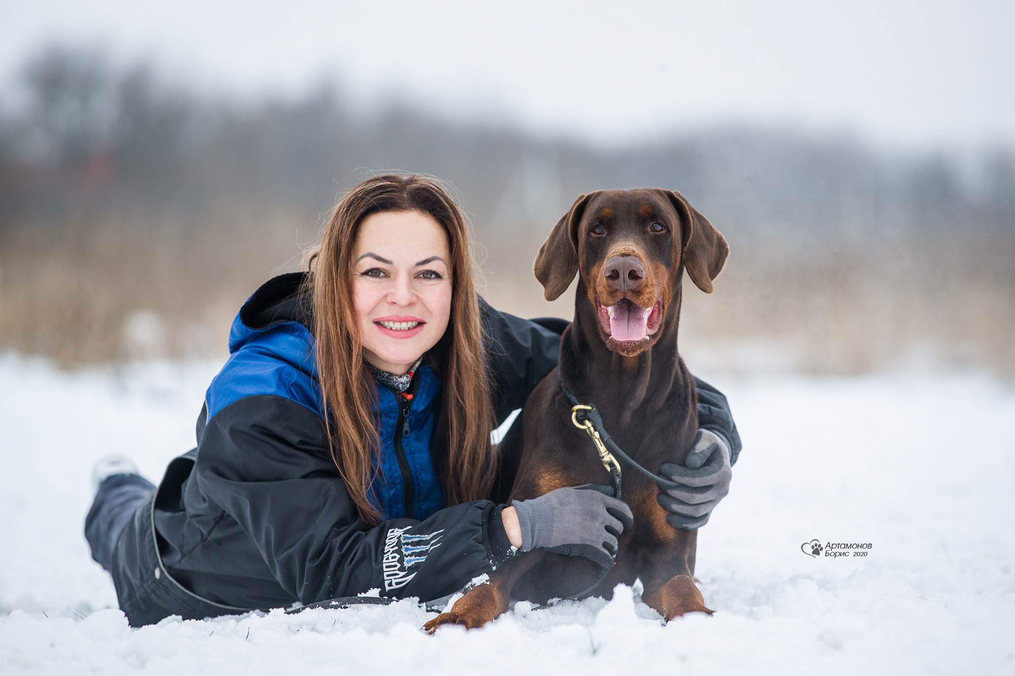 ДОБЕРМАНЫ КУСАЧКИ. Борис Артамонов фотограф — анималист. Москва