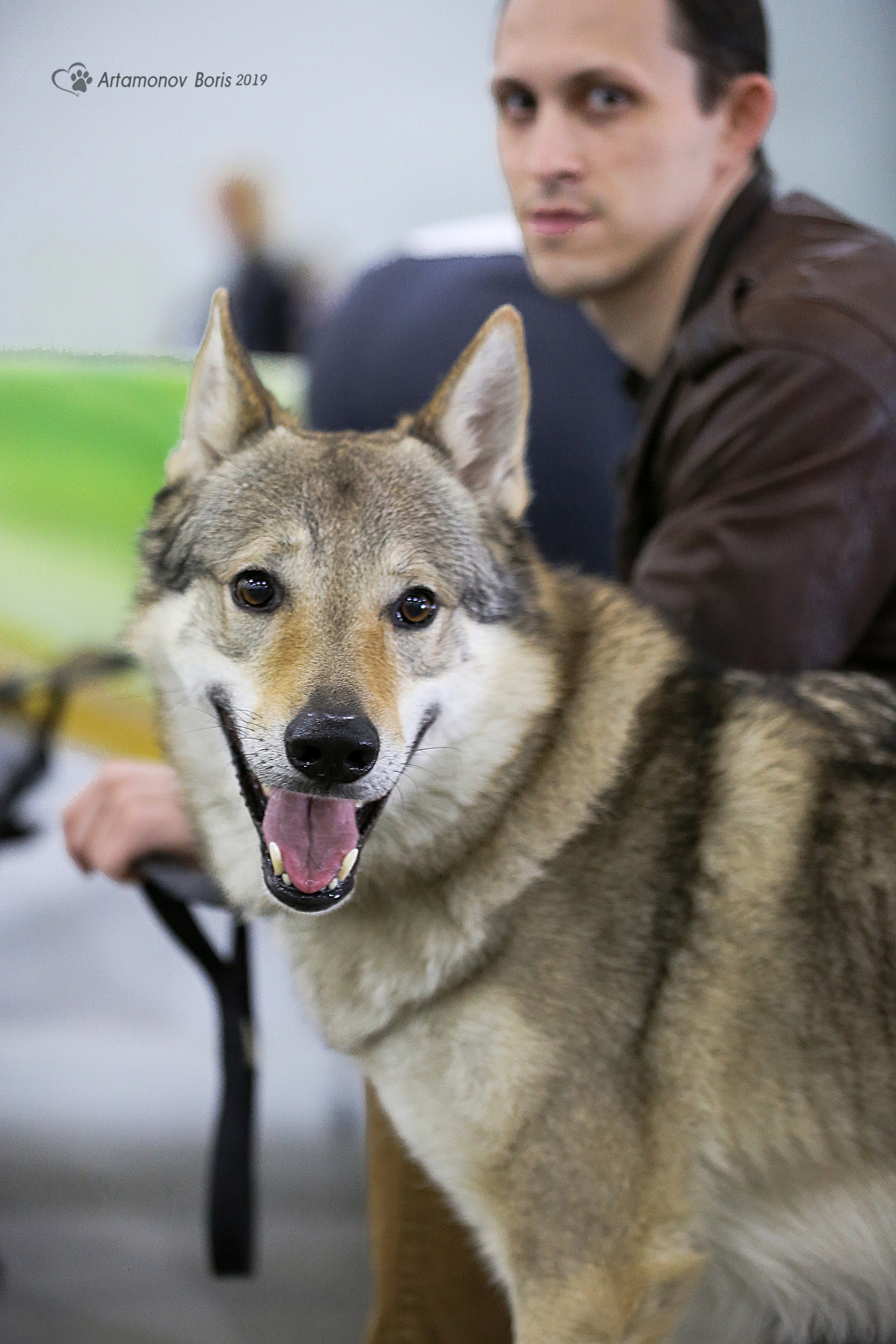 ПОРТРЕТИКИ. Борис Артамонов фотограф — анималист. Москва