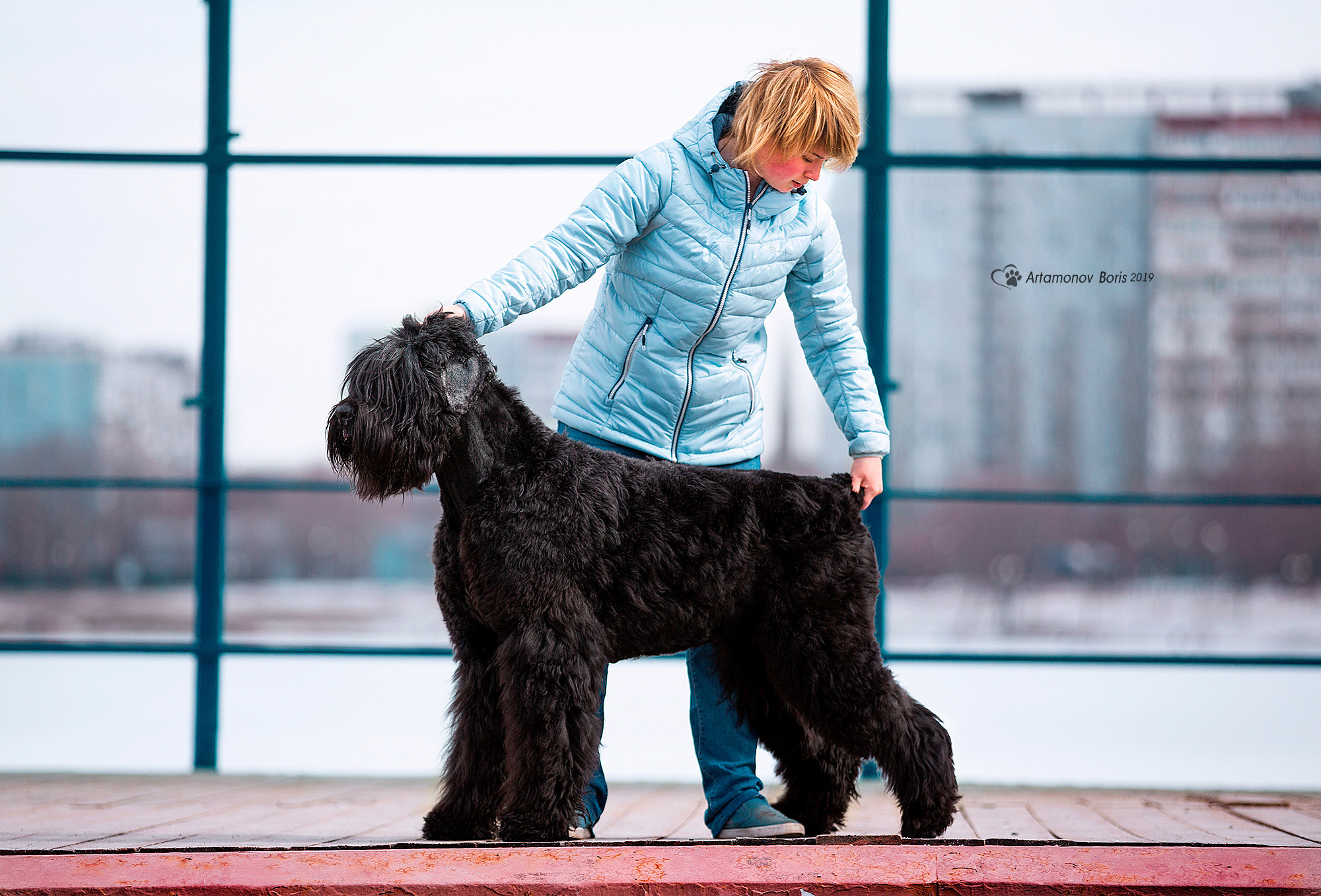 ФОТОСЕССИЯ РЧТ И ПОЛИНКА. Борис Артамонов фотограф — анималист. Москва