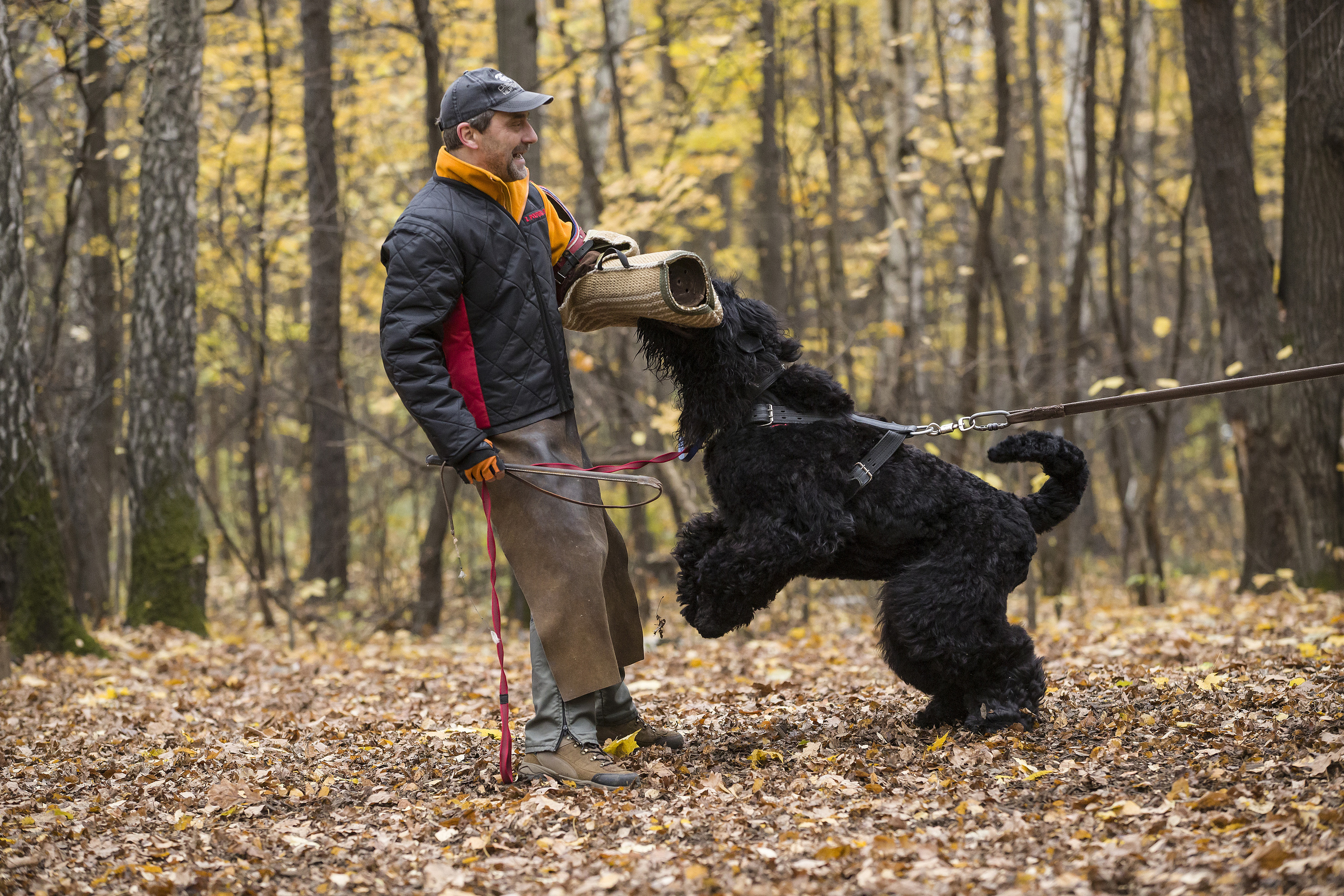 МАШЕНЬКА. Борис Артамонов фотограф — анималист. Москва