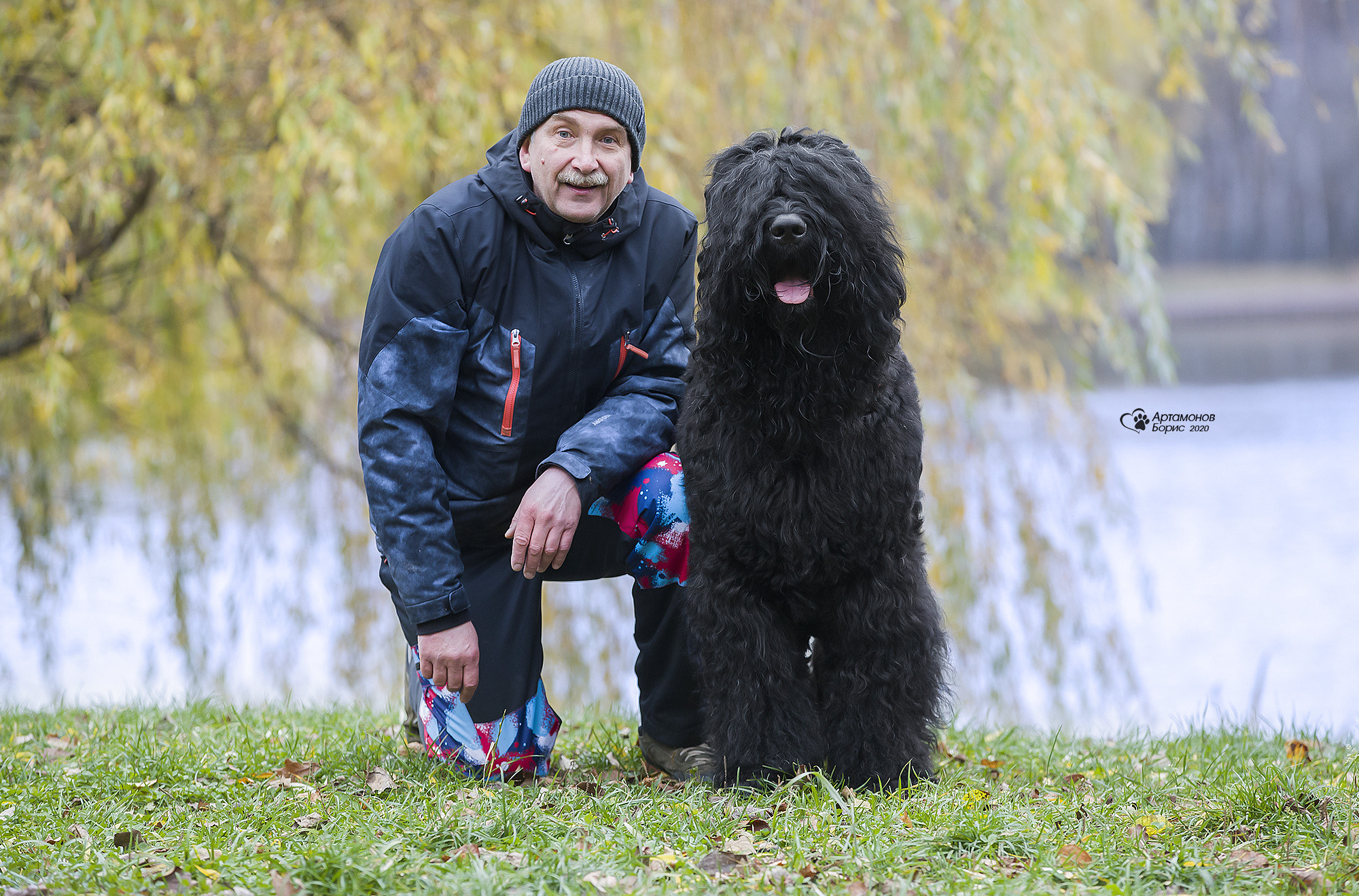 РУССКИЙ ЧЕРНЫЙ ТЕРЬЕР. Борис Артамонов фотограф — анималист. Москва
