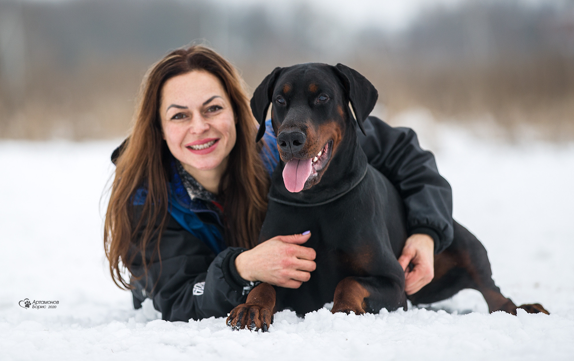 ДОБЕРМАНЫ КУСАЧКИ. Борис Артамонов фотограф — анималист. Москва