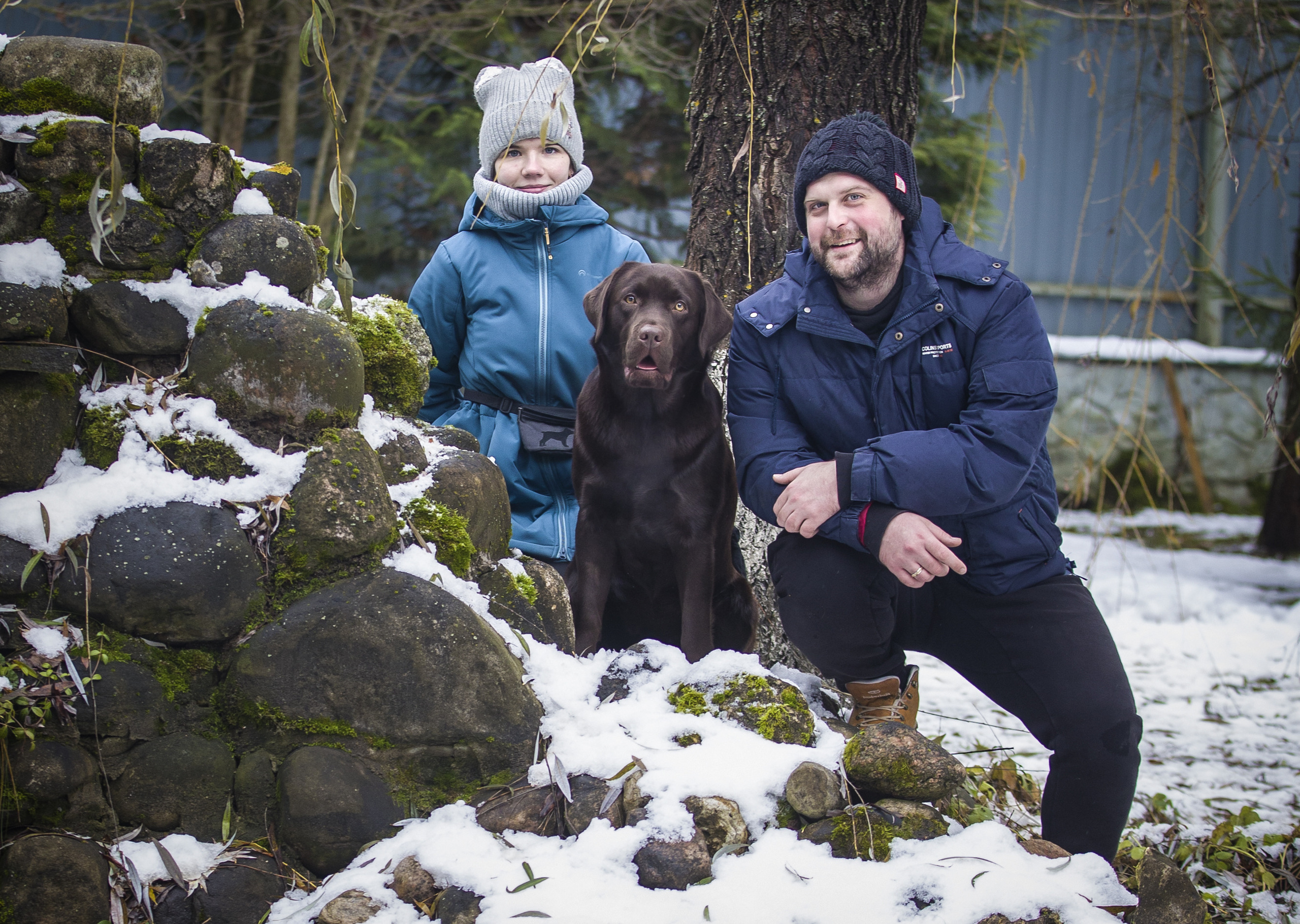ФОТОСЕССИЯ ЛАБРАДОР. Борис Артамонов фотограф — анималист. Москва