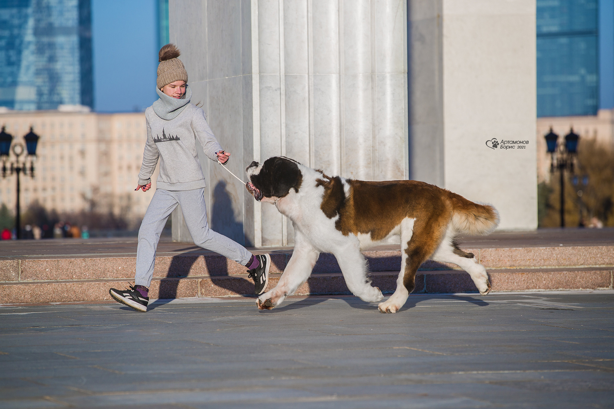 ФОТОСЕССИЯ СЕНБЕРНАР. Борис Артамонов фотограф — анималист. Москва