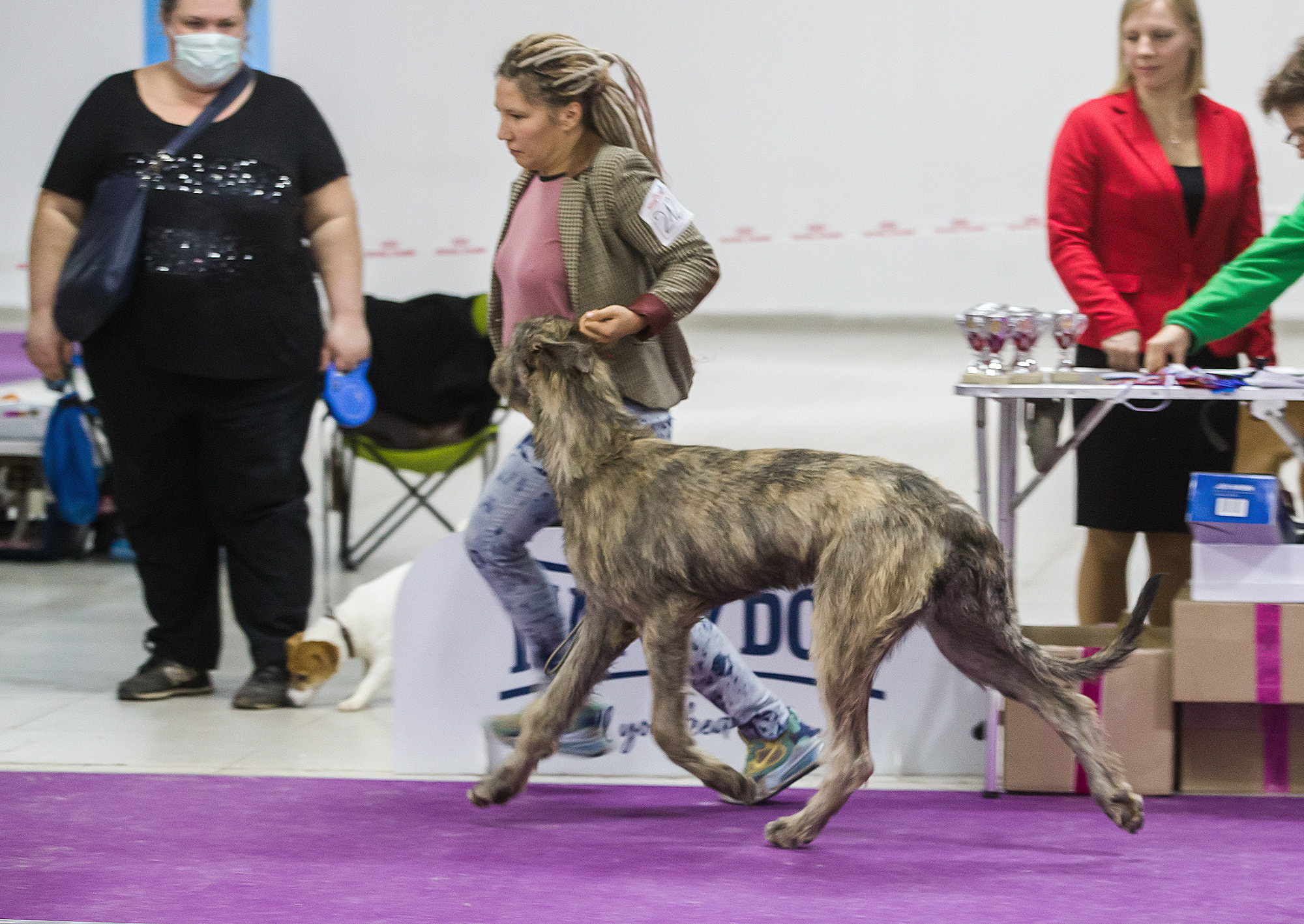 Борис Артамонов фотограф — анималист. Москва