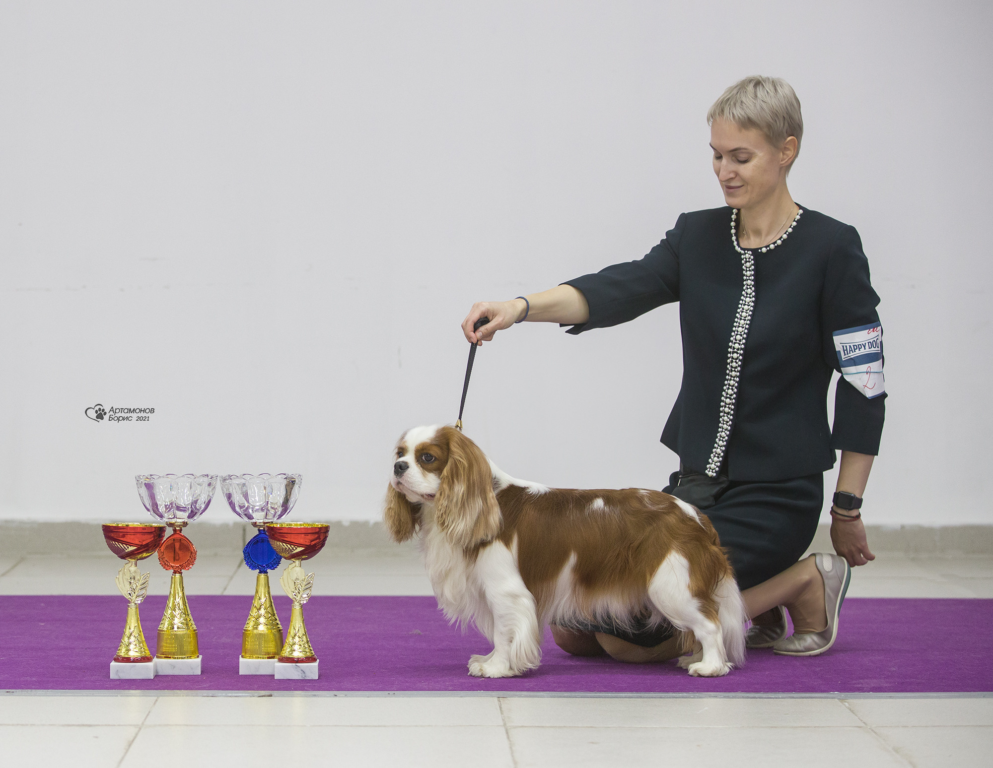 Борис Артамонов фотограф — анималист. Москва