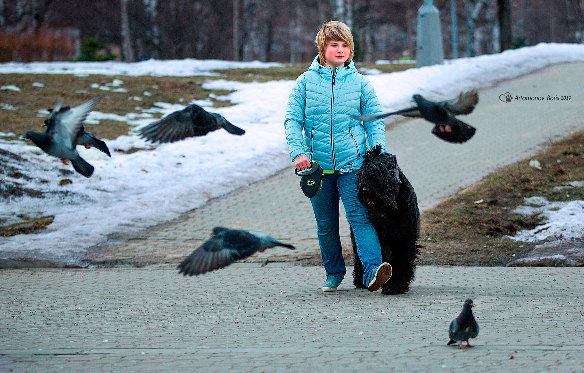 ФОТОСЕССИЯ РЧТ И ПОЛИНКА. Борис Артамонов фотограф — анималист. Москва