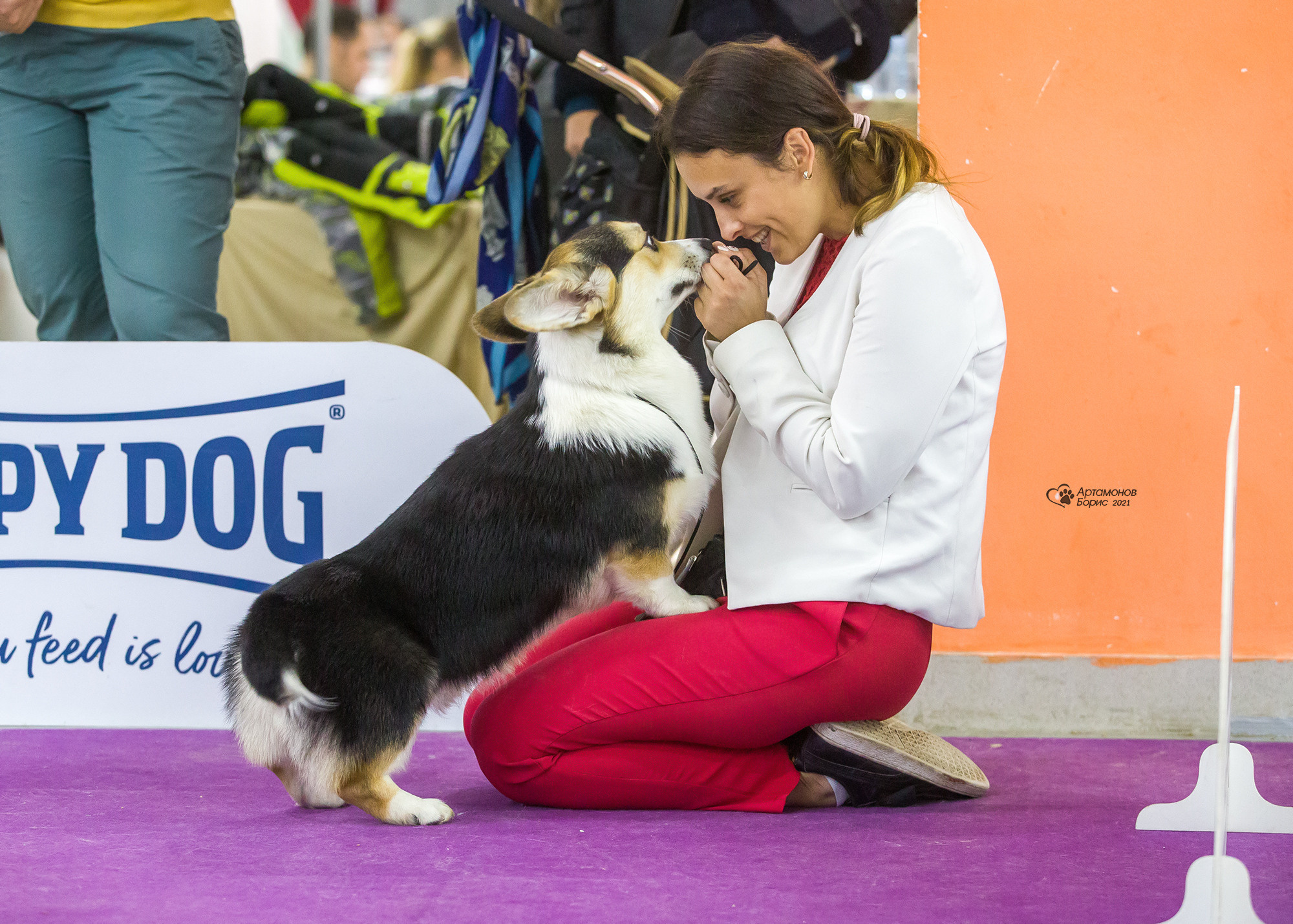 Борис Артамонов фотограф — анималист. Москва