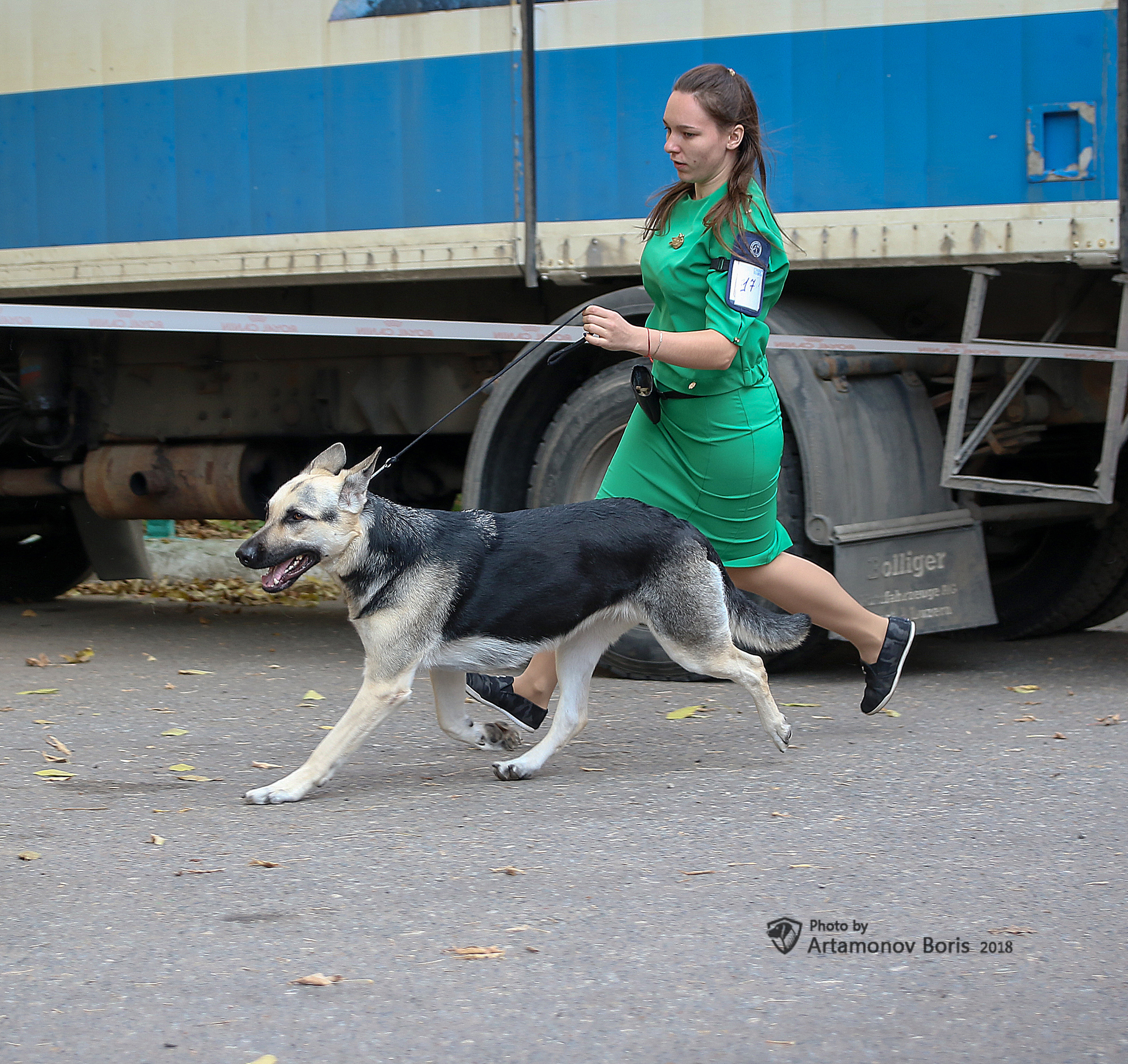 Борис Артамонов фотограф — анималист. Москва