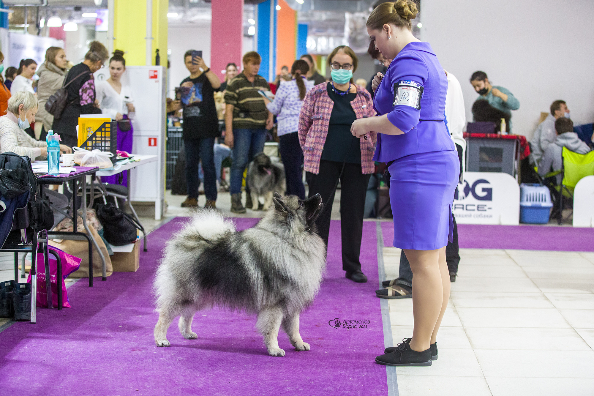 Борис Артамонов фотограф — анималист. Москва