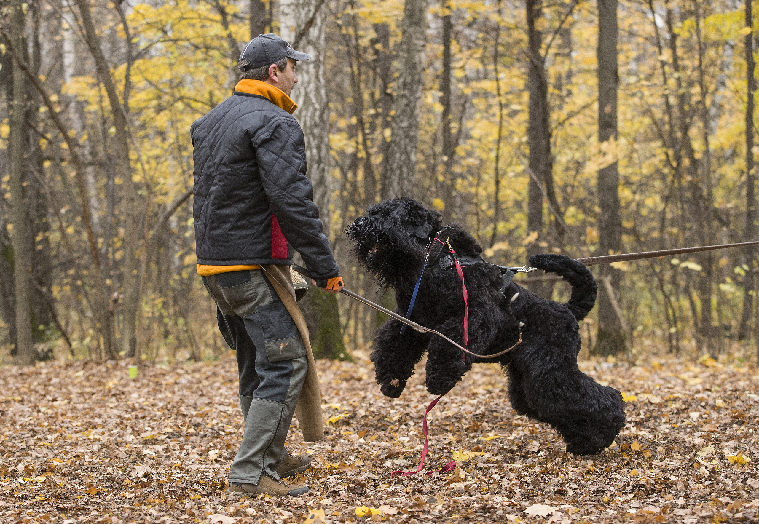 МАШЕНЬКА. Борис Артамонов фотограф — анималист. Москва