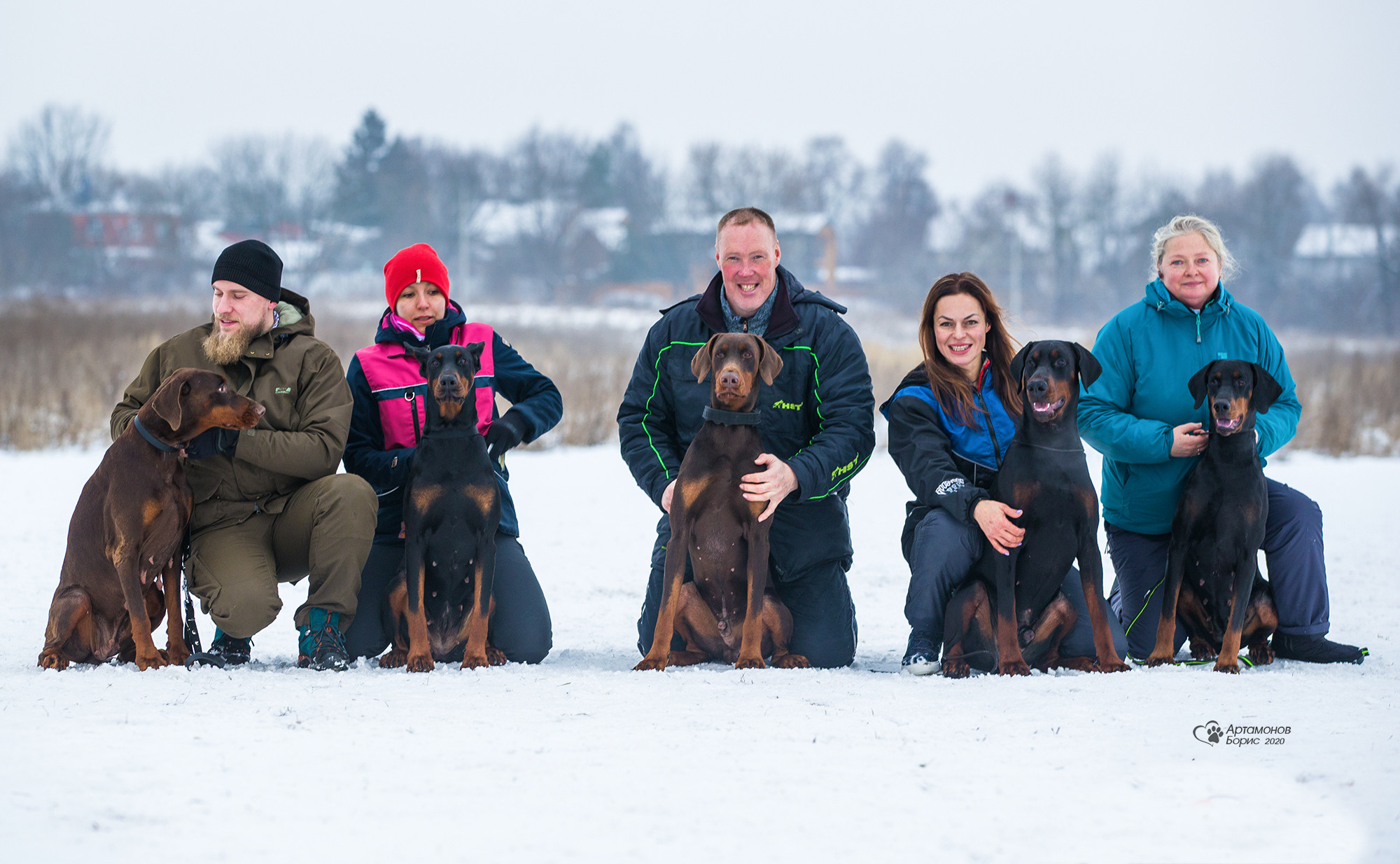 ДОБЕРМАНЫ КУСАЧКИ. Борис Артамонов фотограф — анималист. Москва