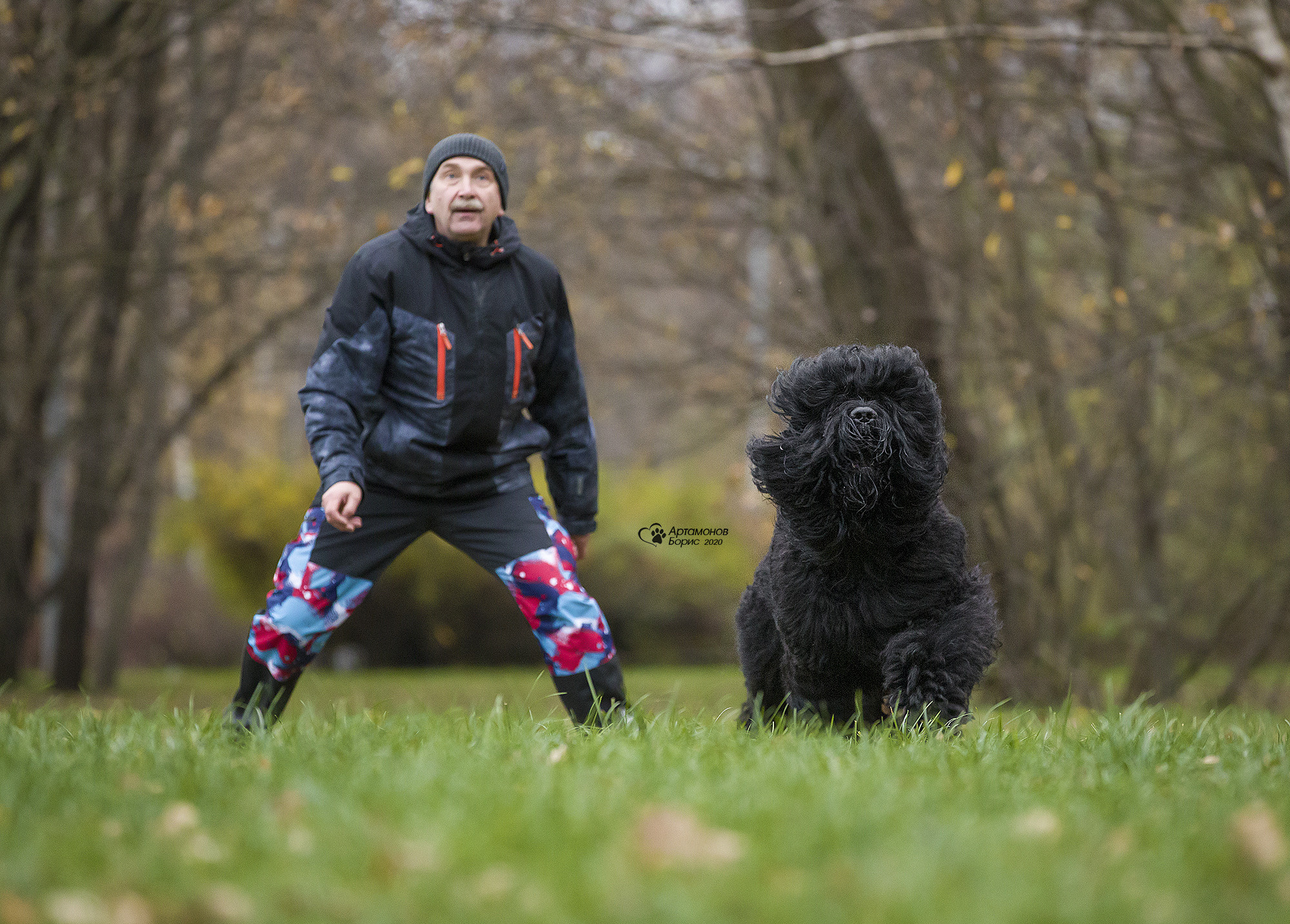 РУССКИЙ ЧЕРНЫЙ ТЕРЬЕР. Борис Артамонов фотограф — анималист. Москва