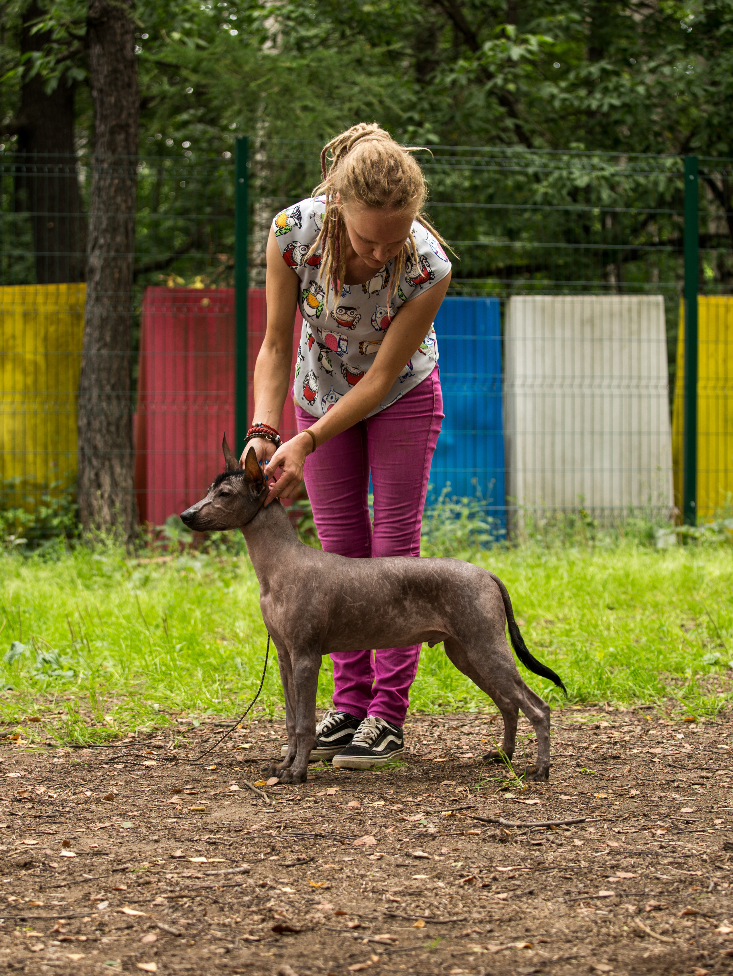 ПОРТРЕТИКИ. Борис Артамонов фотограф — анималист. Москва