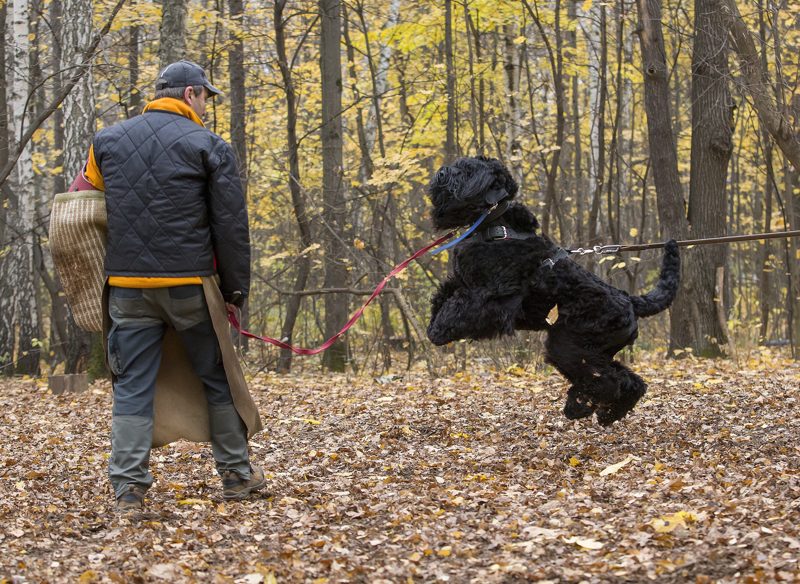 МАШЕНЬКА. Борис Артамонов фотограф — анималист. Москва
