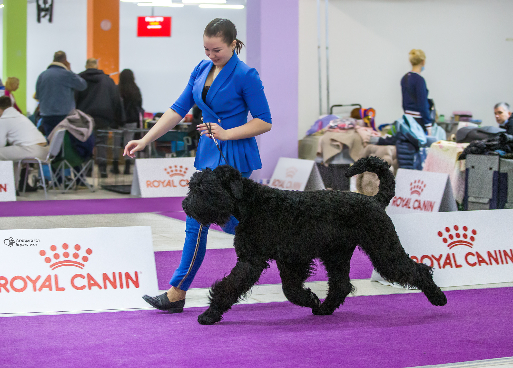 Борис Артамонов фотограф — анималист. Москва