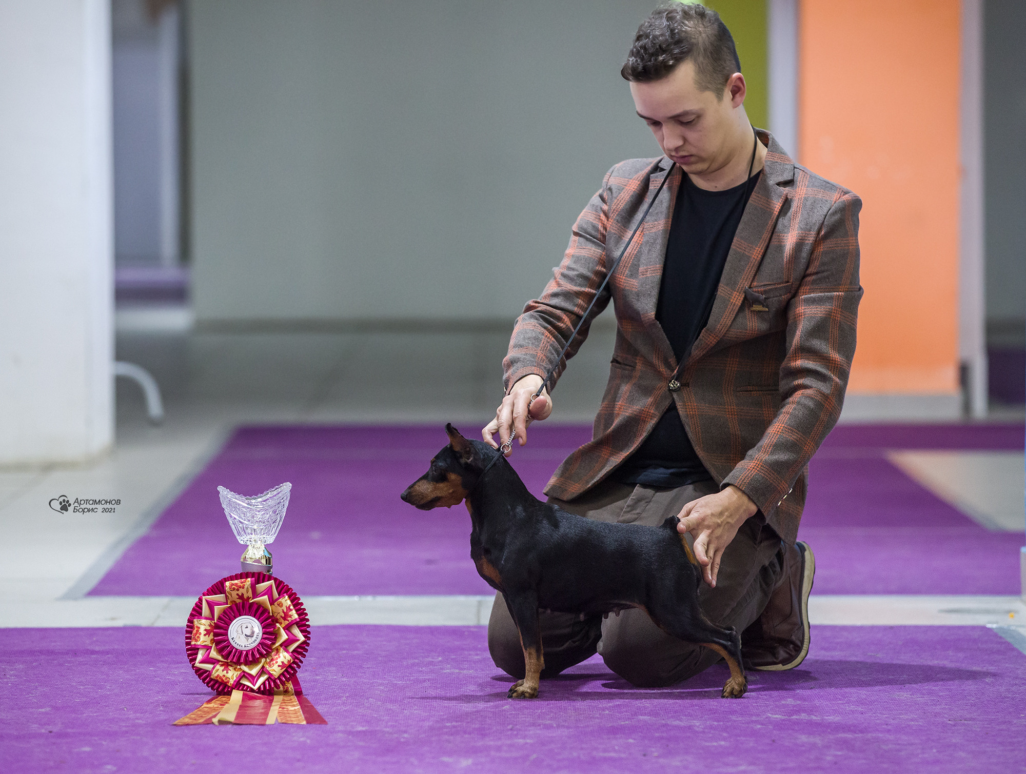 Борис Артамонов фотограф — анималист. Москва