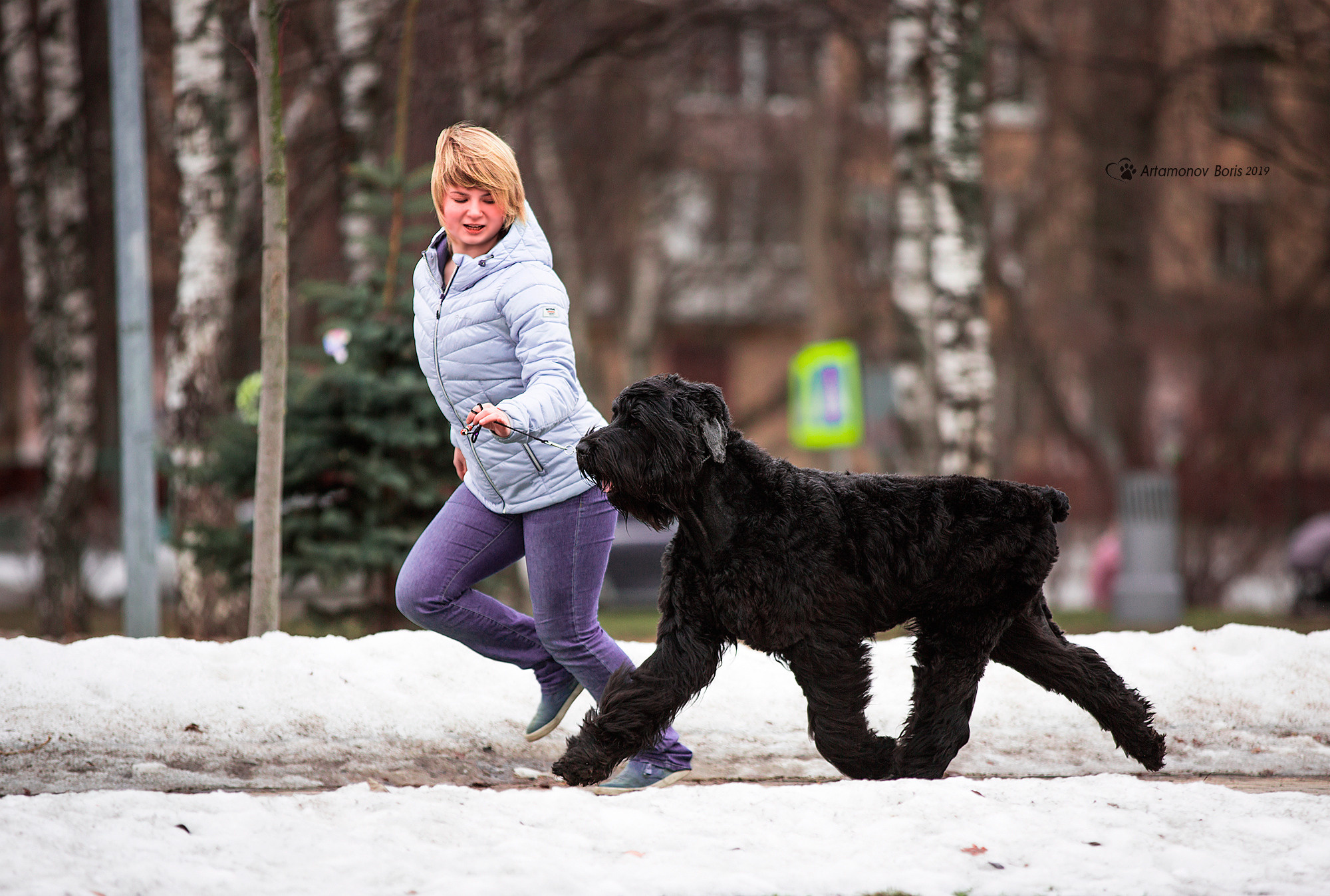 ФОТОСЕССИЯ РЧТ И ПОЛИНКА. Борис Артамонов фотограф — анималист. Москва