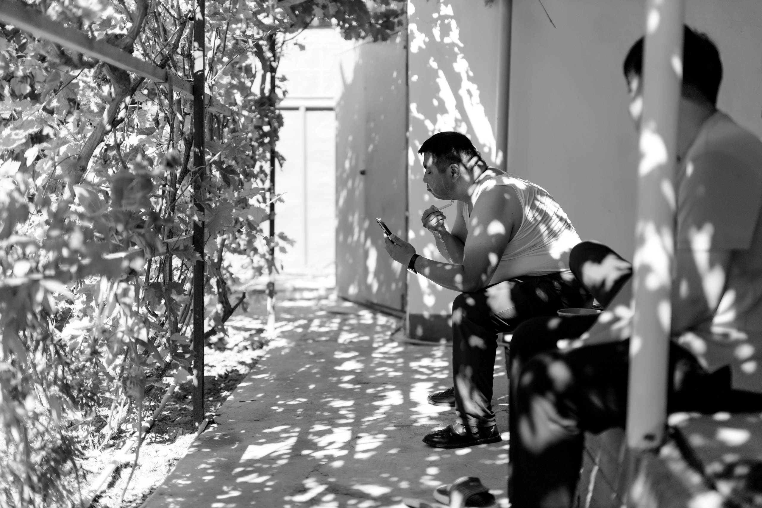 Aynur — syrğa salu. Wedding and Love story Photographer