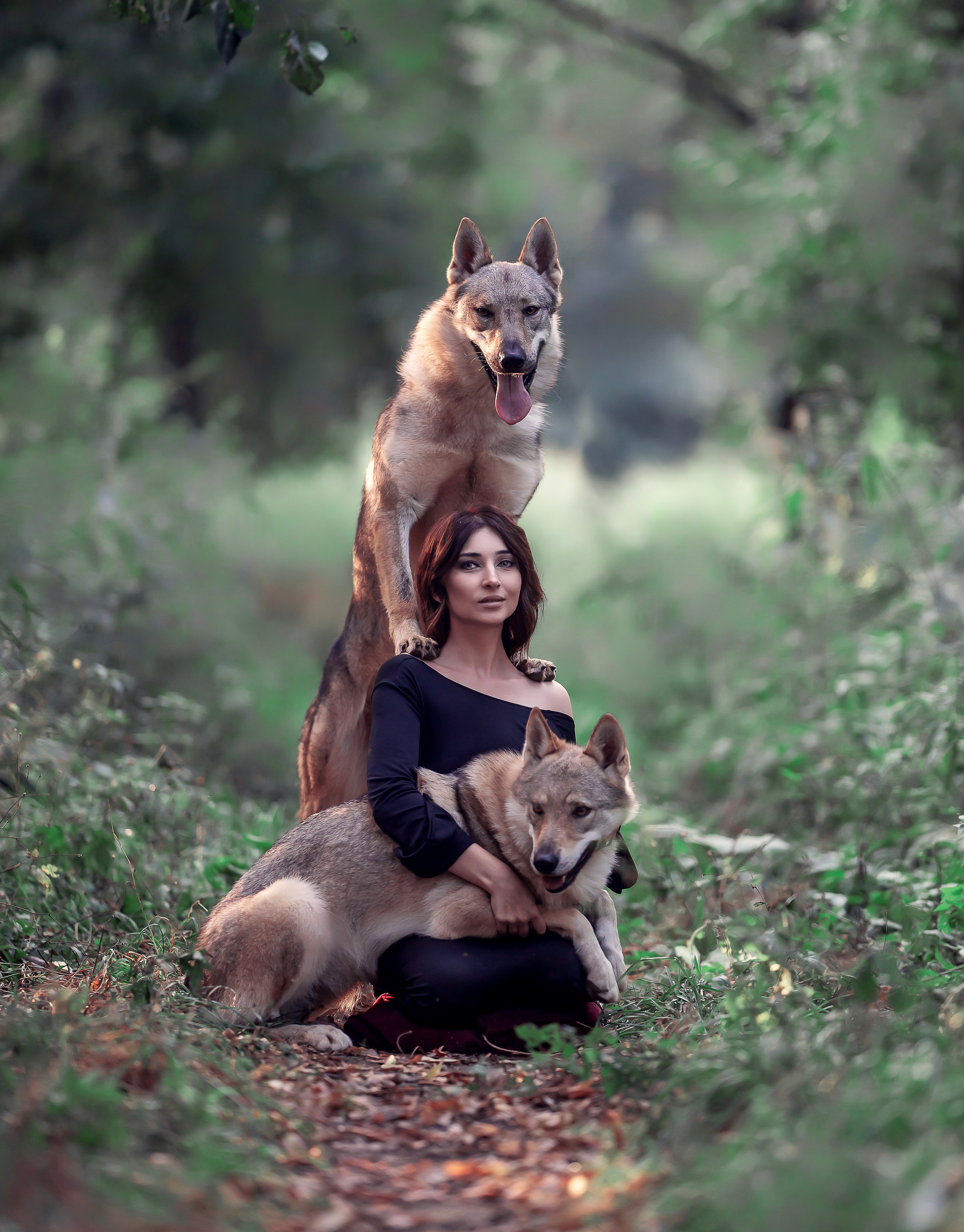 Волки. Профессиональный фотограф в Москве Марина Григорьева