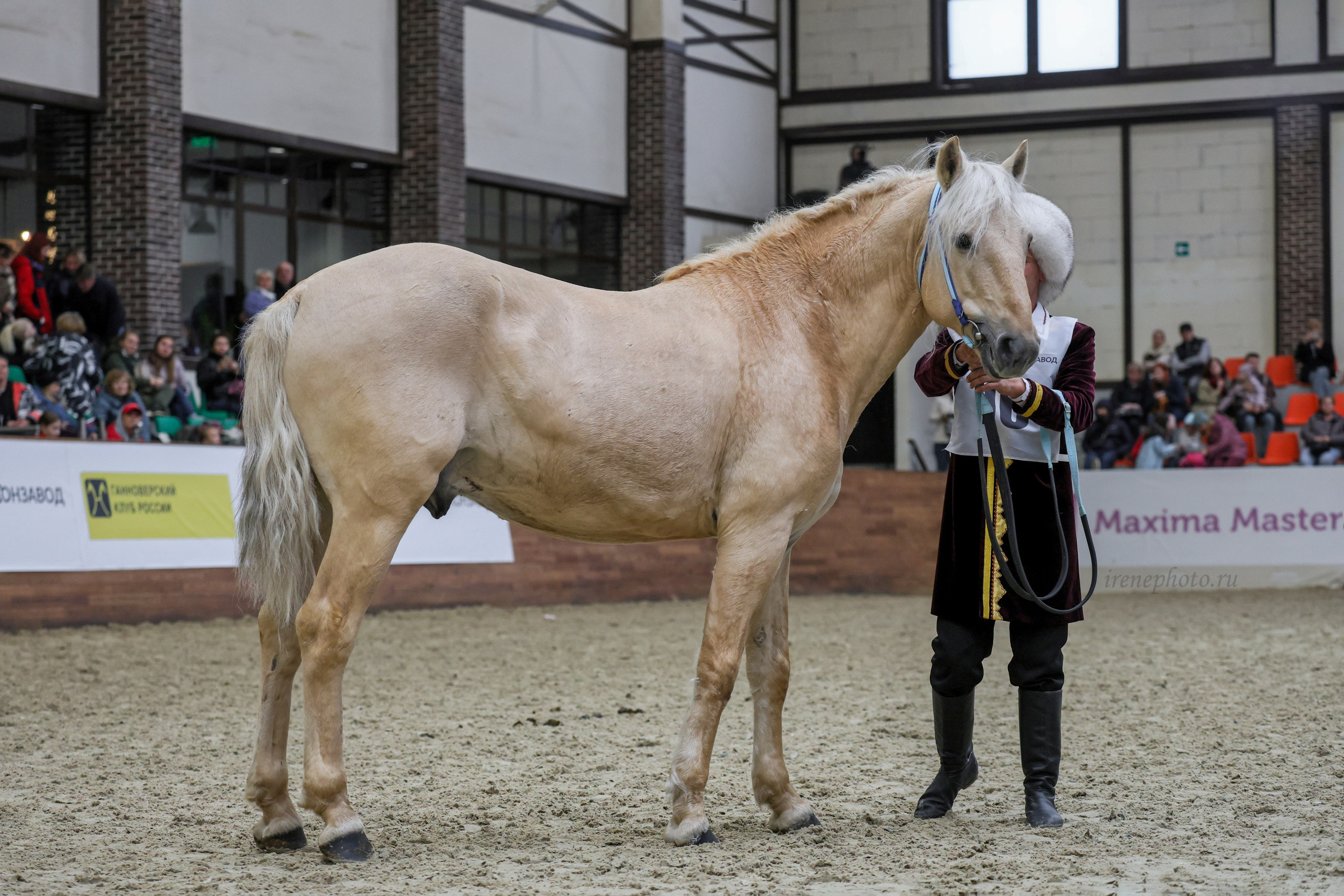 Конная Россия 2024. Irenephoto.ru