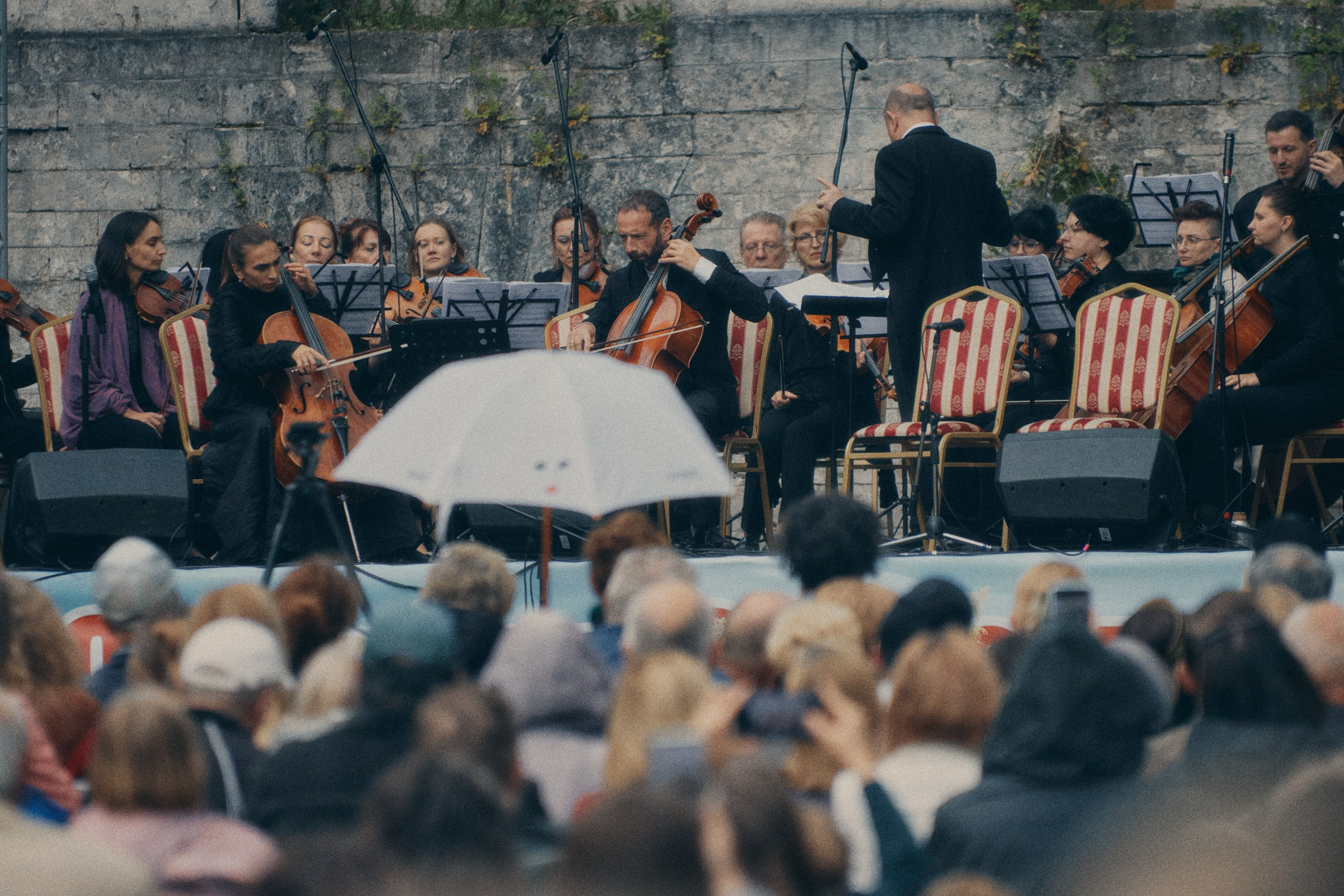 Музыкальная экспедиция в Знаменское-раёк 2025