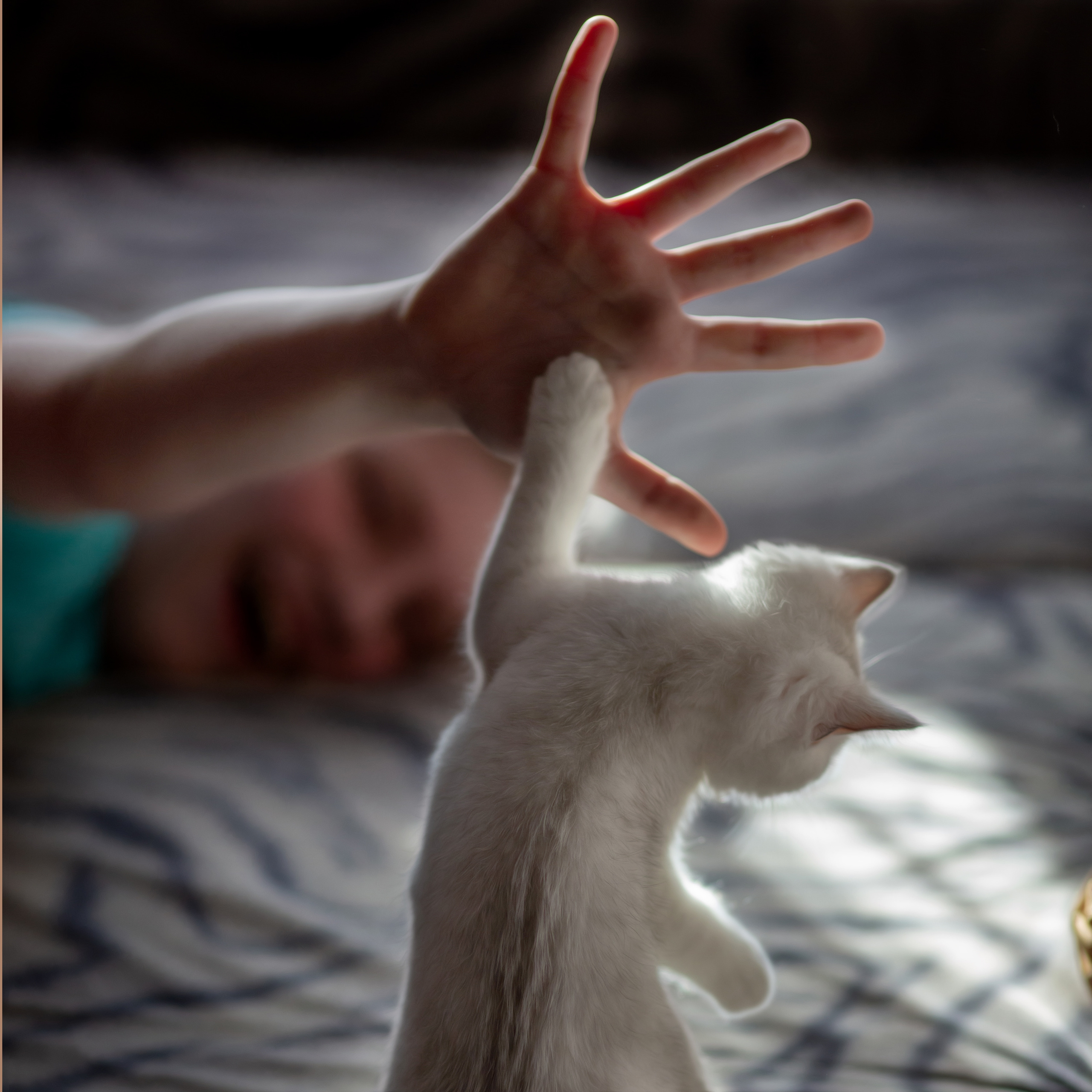 Детский и семейный фотограф Барнаул Татьяна Губанова