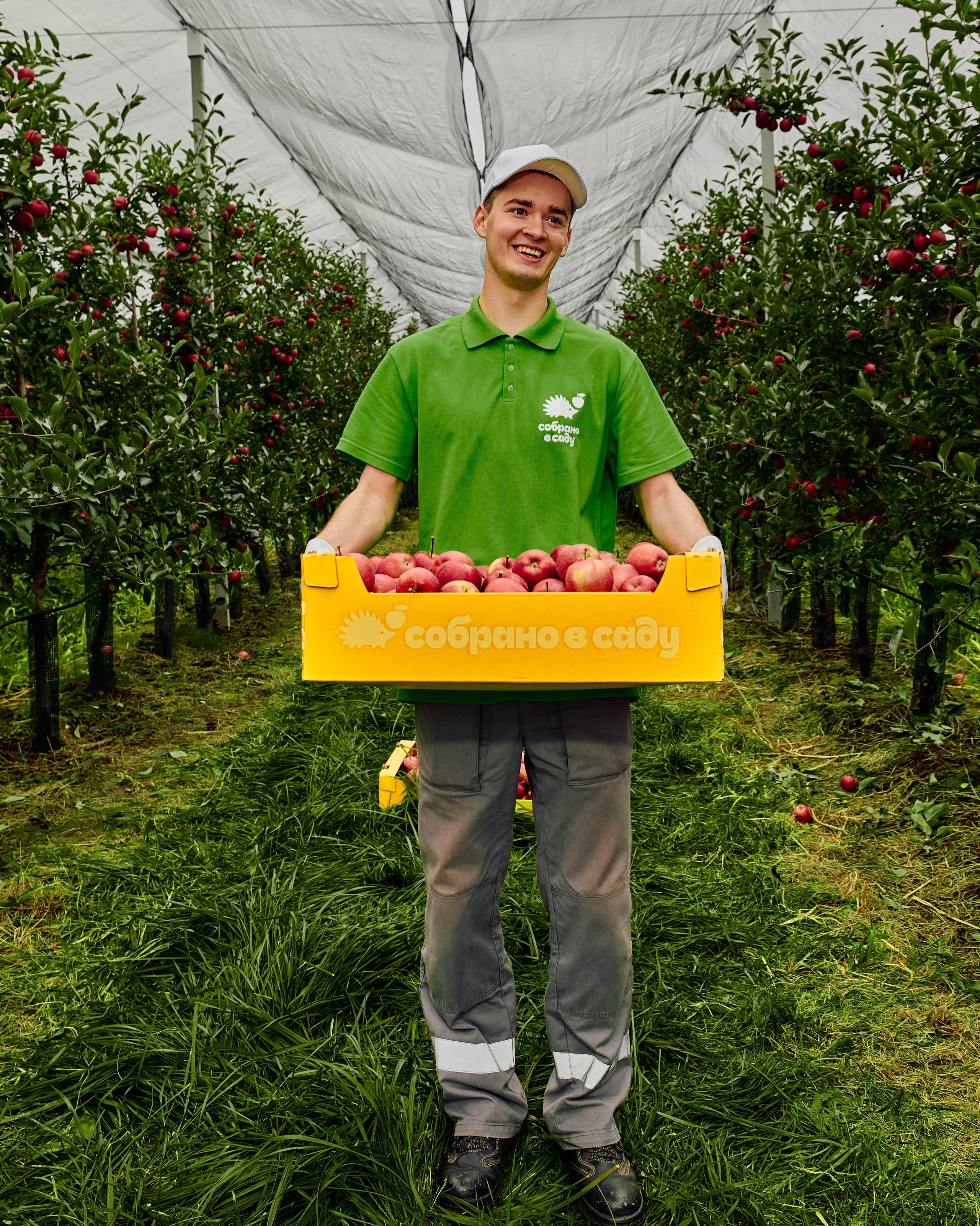 Собрано в саду. Святослав Лебедев | Рекламный фотограф — Коммерческая съемка, Арт-дирекшн, AI-интеграция