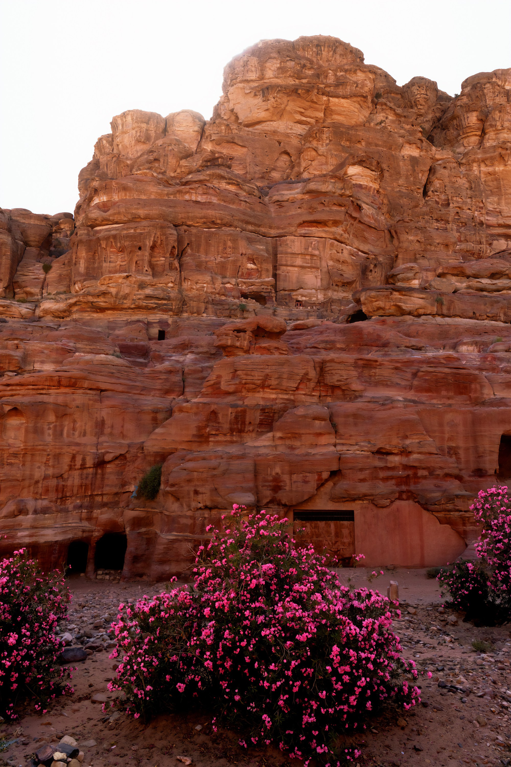 Турция, Греция, Иордания. Фотограф в Хабаровске. Фотография за 24 часа