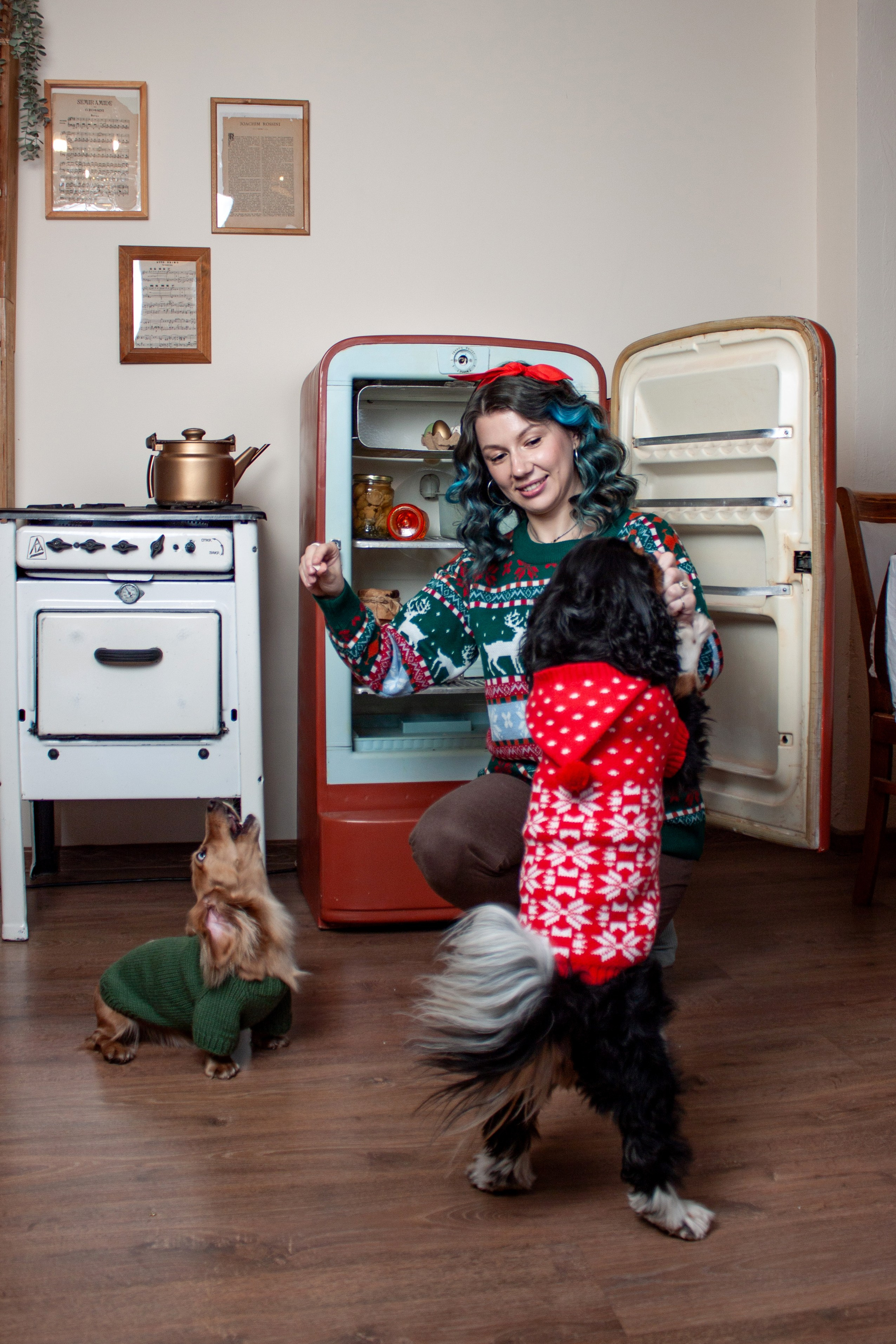 Новогодние собаки. Фотограф в Санкт-Петербурге Рейдер Дарья