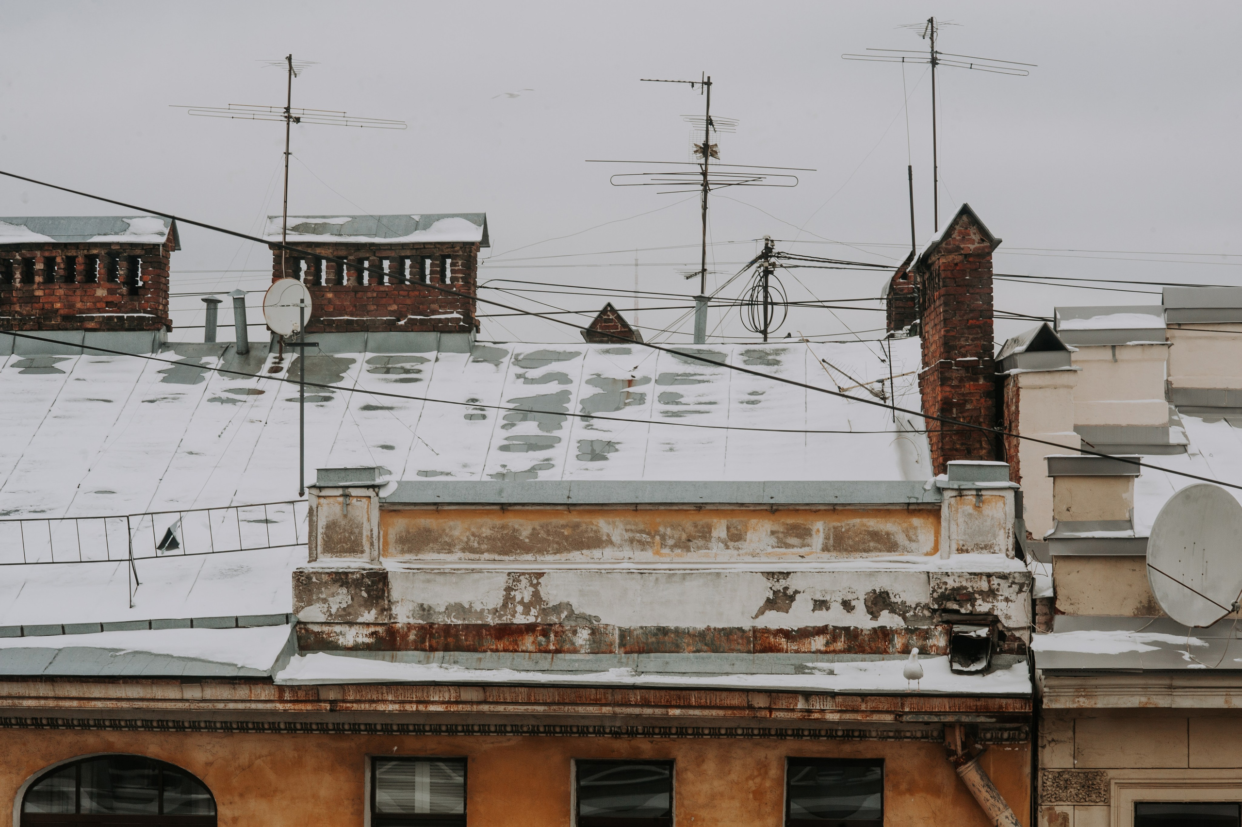 Писатель. Портретный и лайфстайл фотограф в Санкт-Петербурге