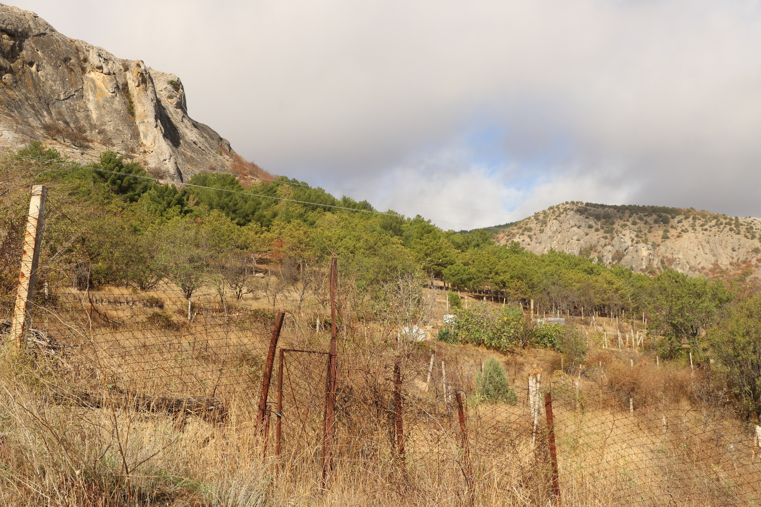 Крым. ЮБК (Гурзуф, Судак и их окрестности). Ноябрь 2023. Путешественник-фотограф из Санкт-Петербурга Татьяна Свистулина