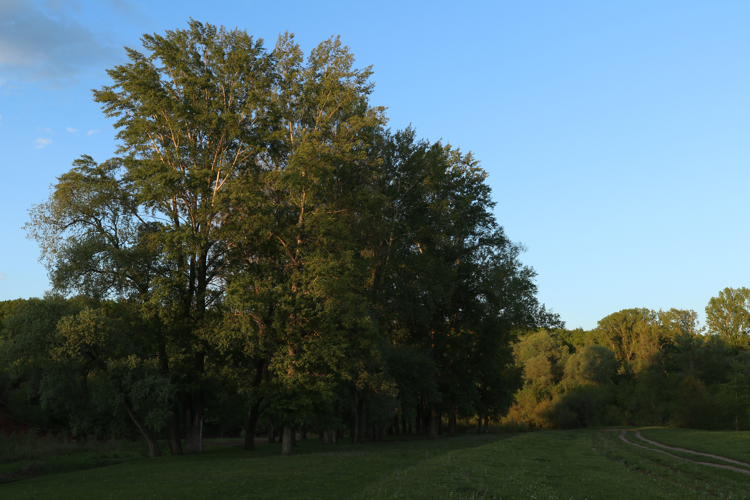 Велопоход Уфа — Мелеуз. Май 2024. Путешественник-фотограф из Санкт-Петербурга Татьяна Свистулина