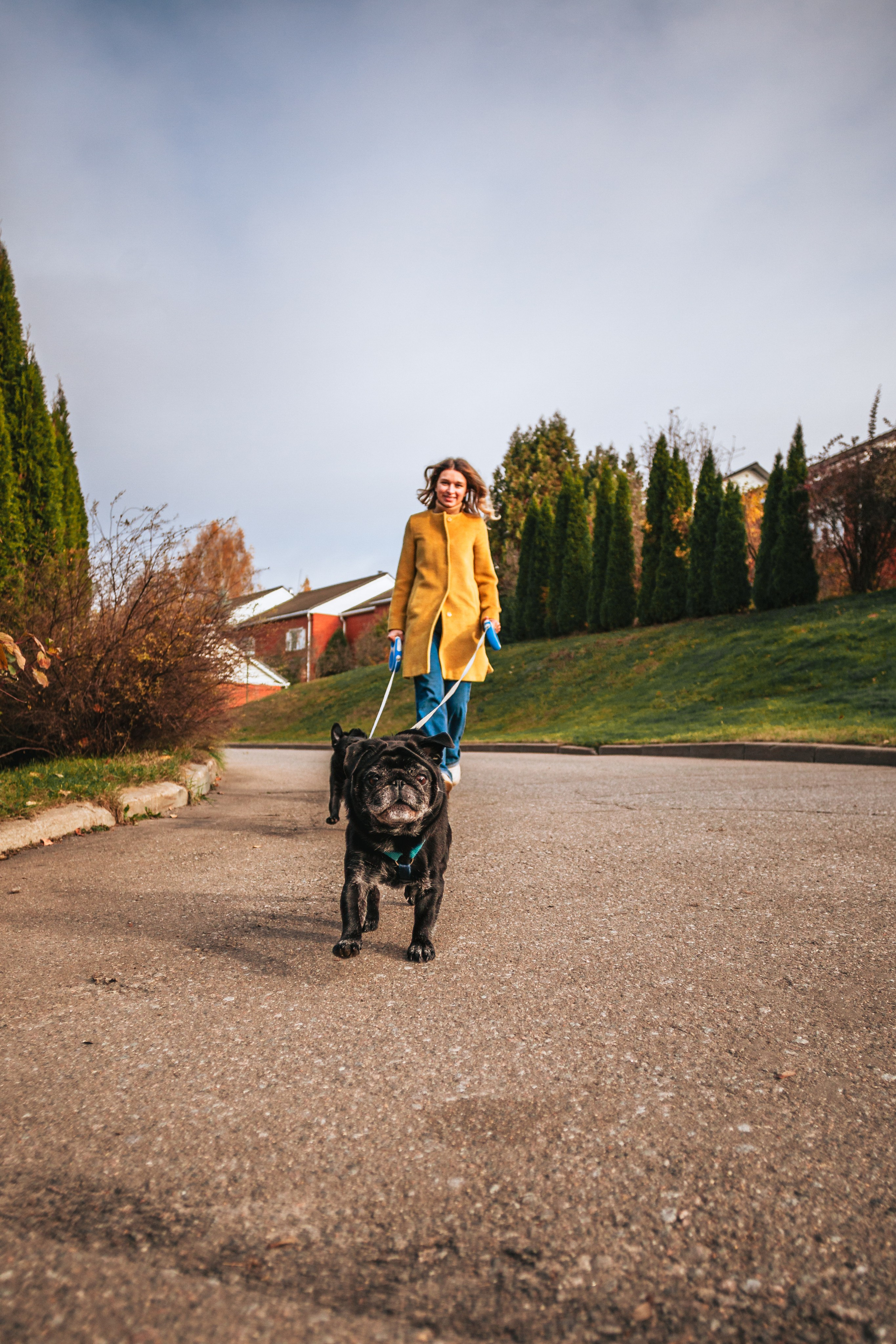 Оля, Харви, Луис. Фотограф-анималист Татьяна Степанова
