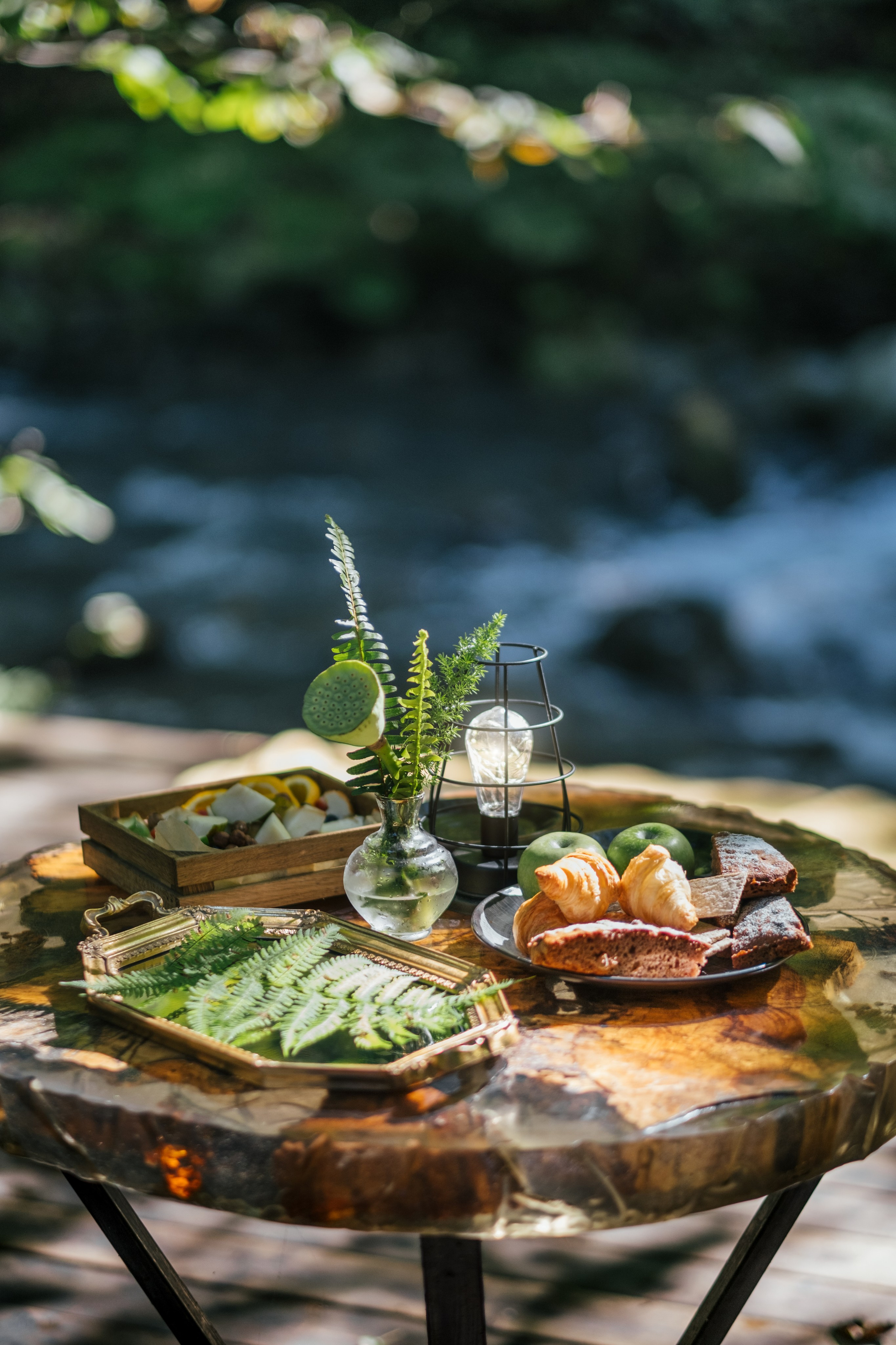 Кот и Дракон. Свадебный Видеограф Фотограф в Сочи