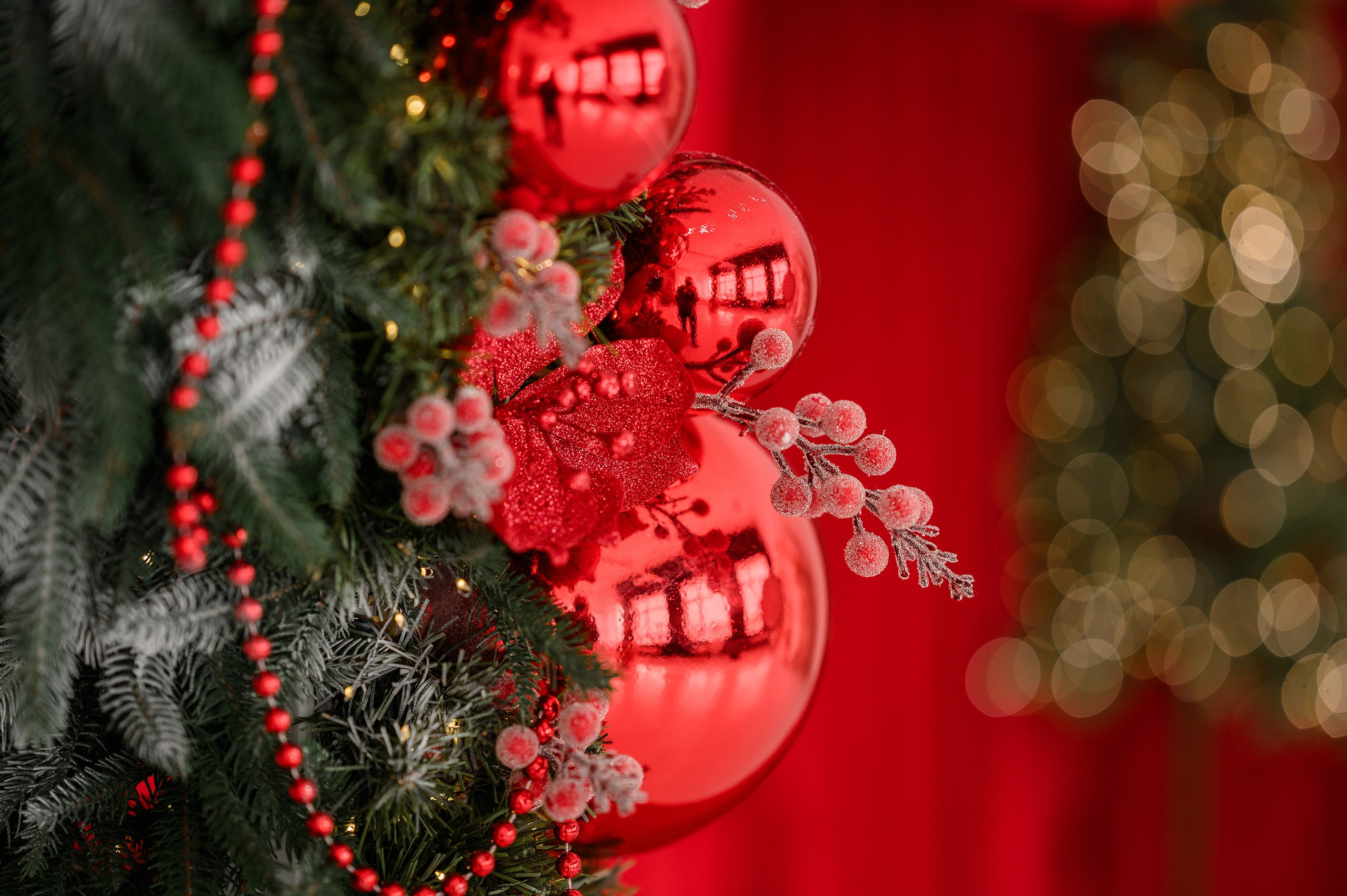 Фотостудия «PurPur»