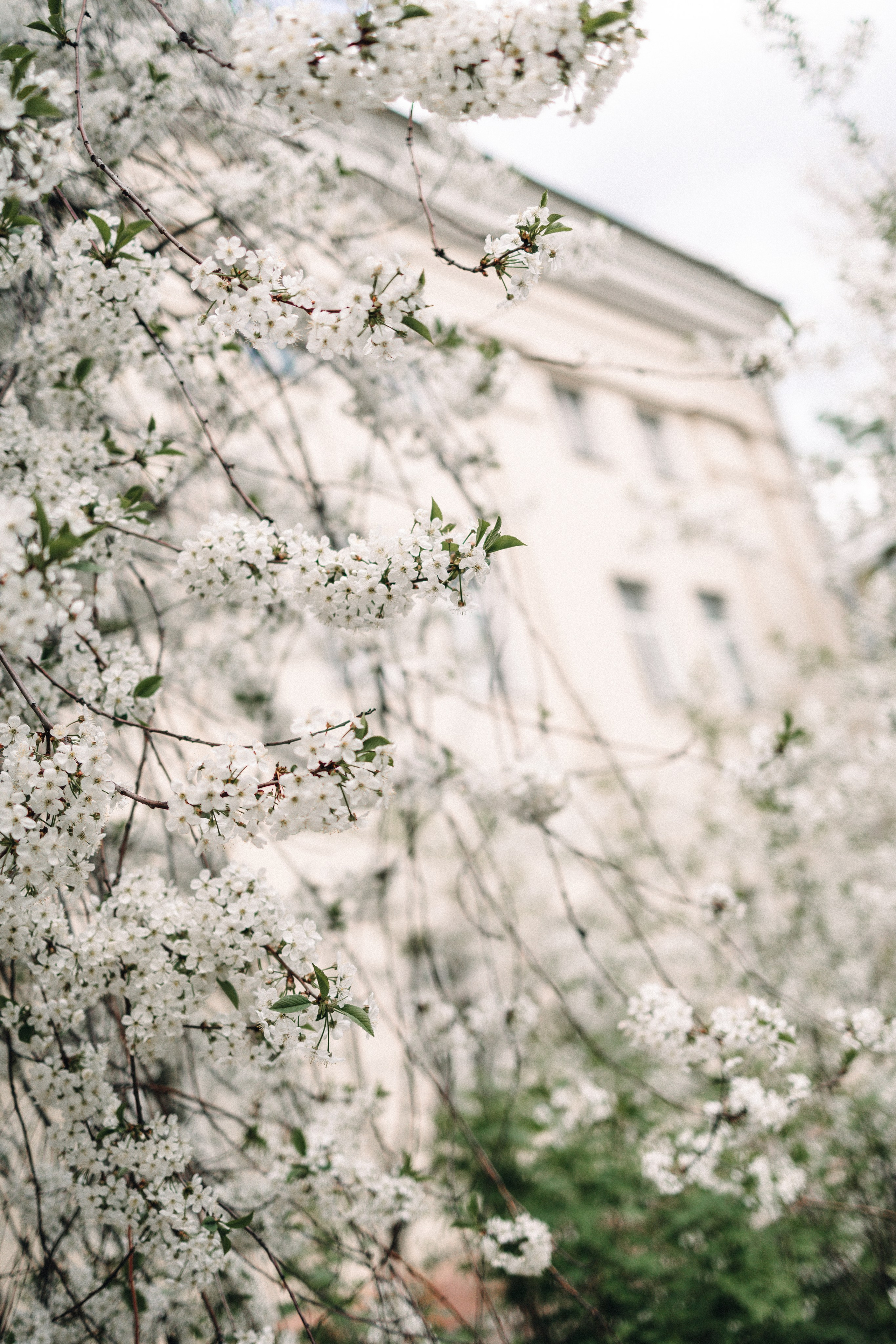 1+1=5. Фотограф Москва Светлана Кирюшина