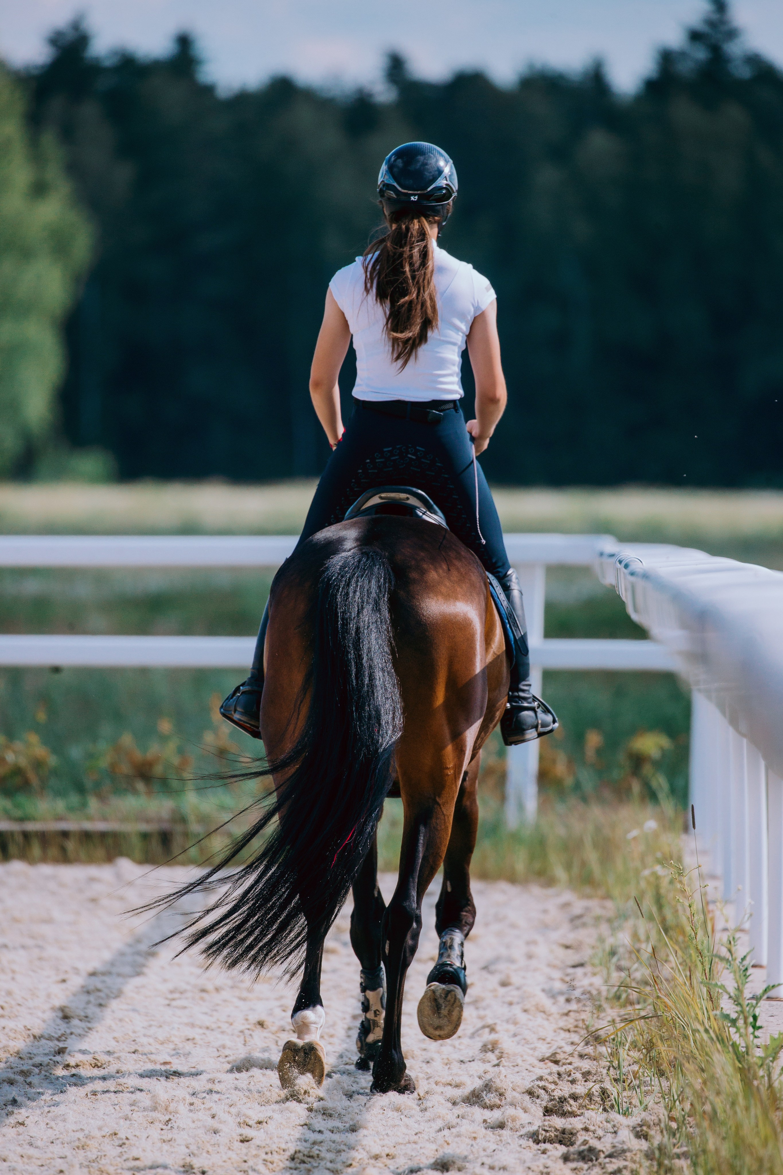 Тренировки. Фотограф-анималист Ксендзова Кристина