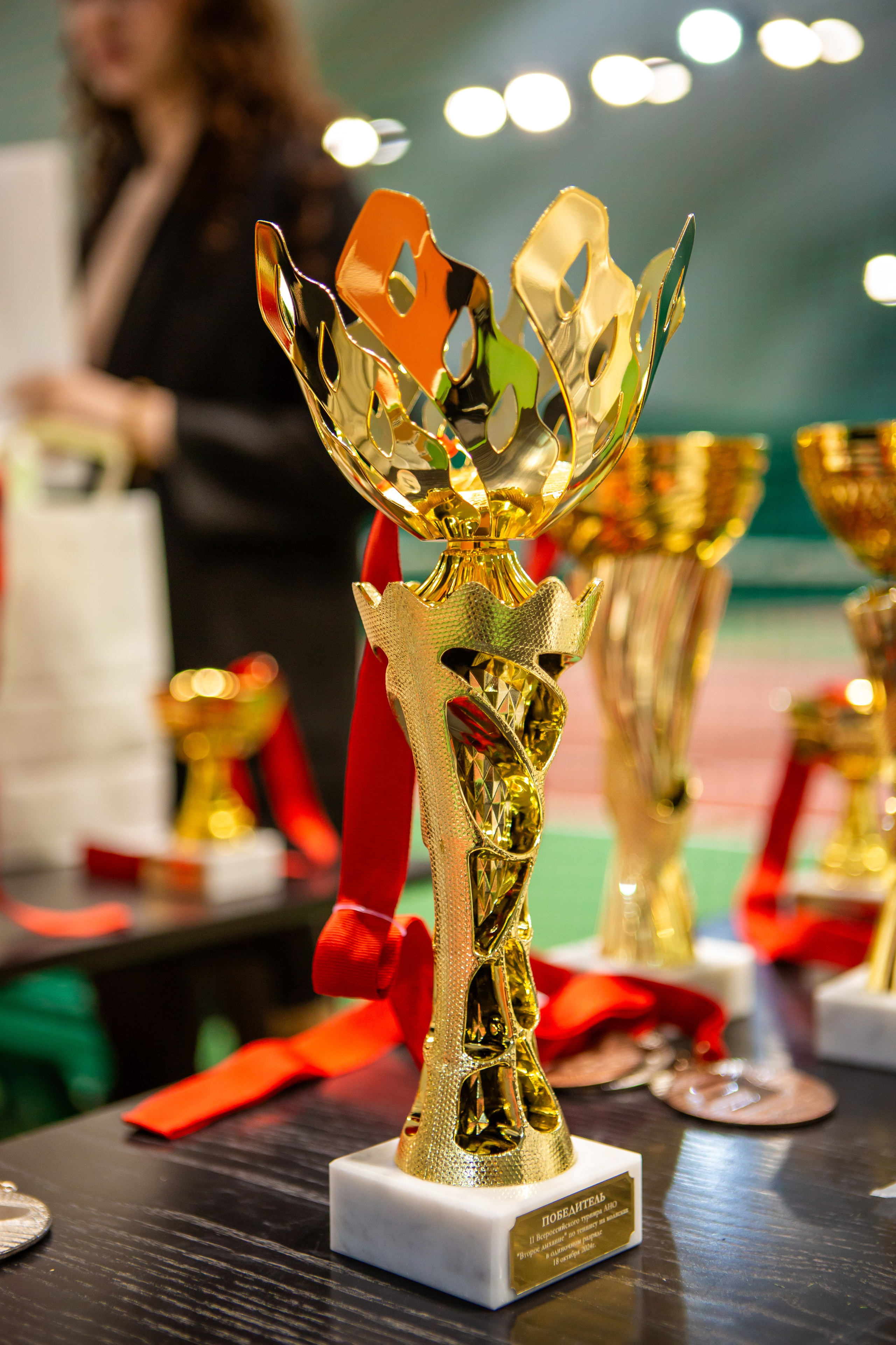 Турнир по теннису на колясках. Репортажный, семейный, свадебный, портретный фотограф