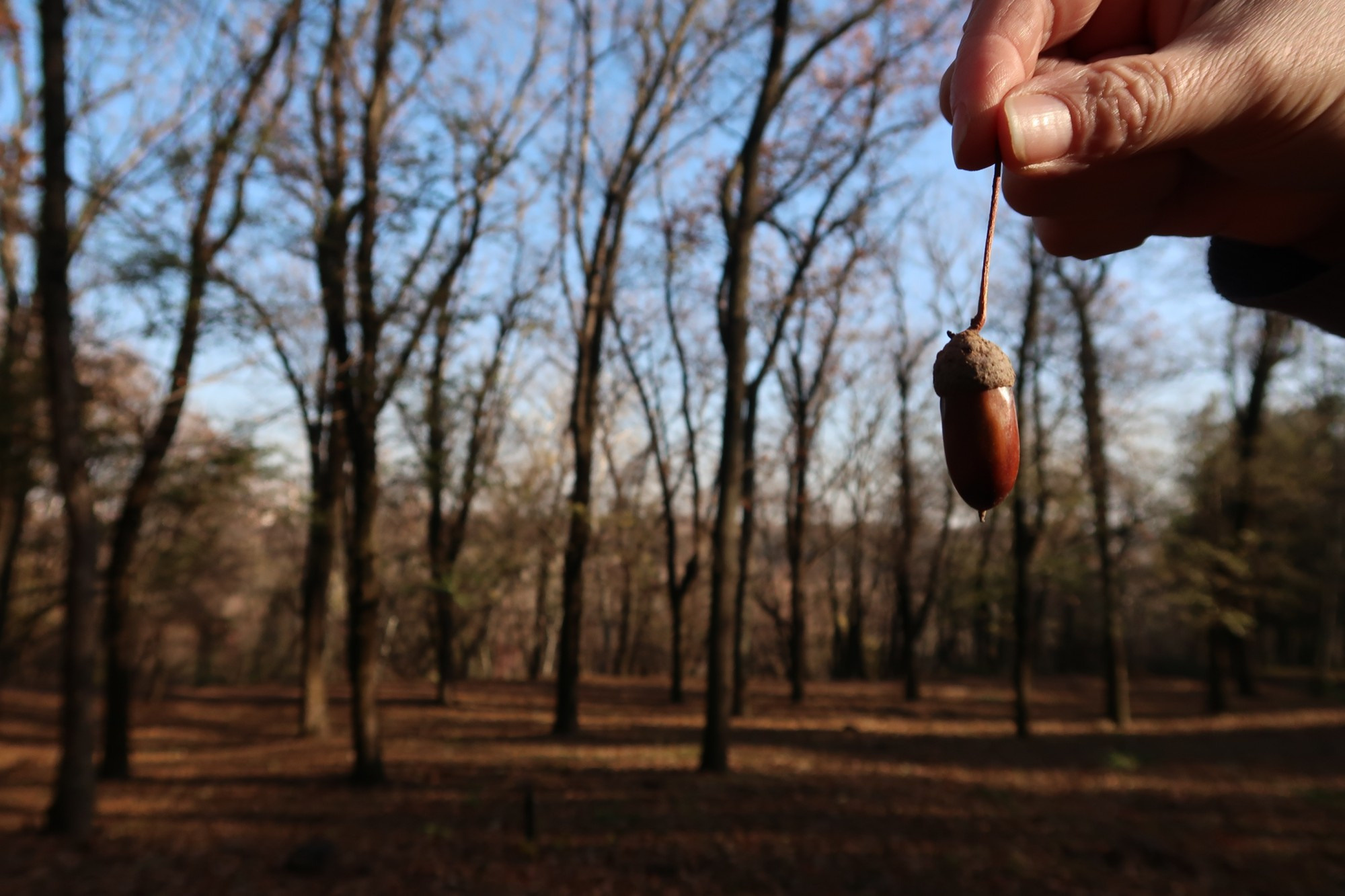 LiveJournal. Главная